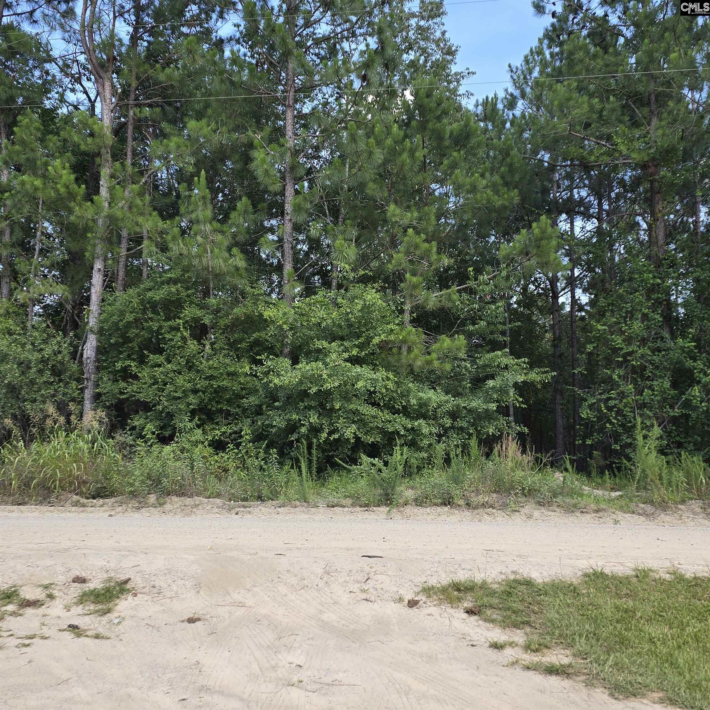 1321 Spring Creek Road, Lugoff, South Carolina image 4