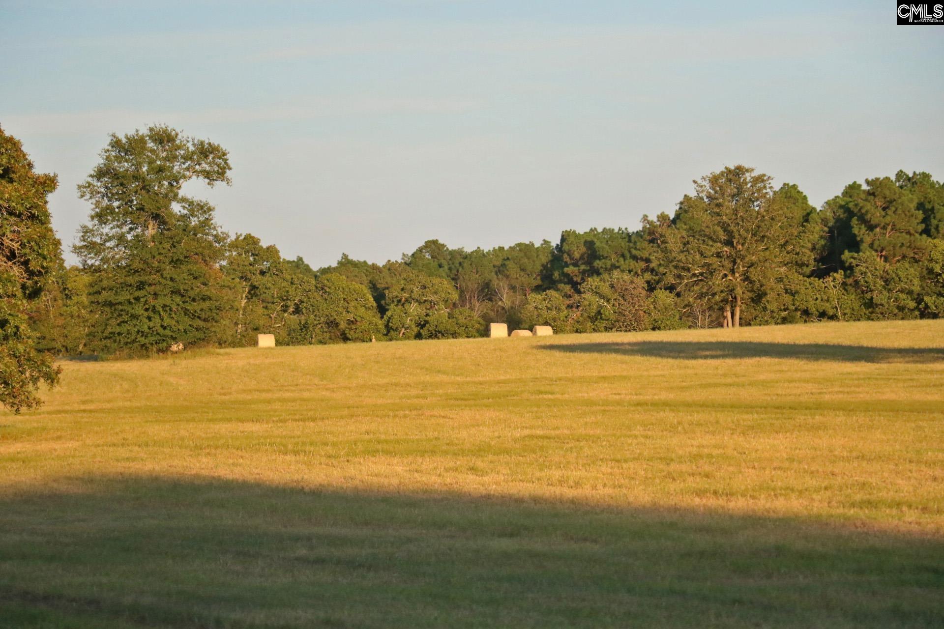 picture-gallery