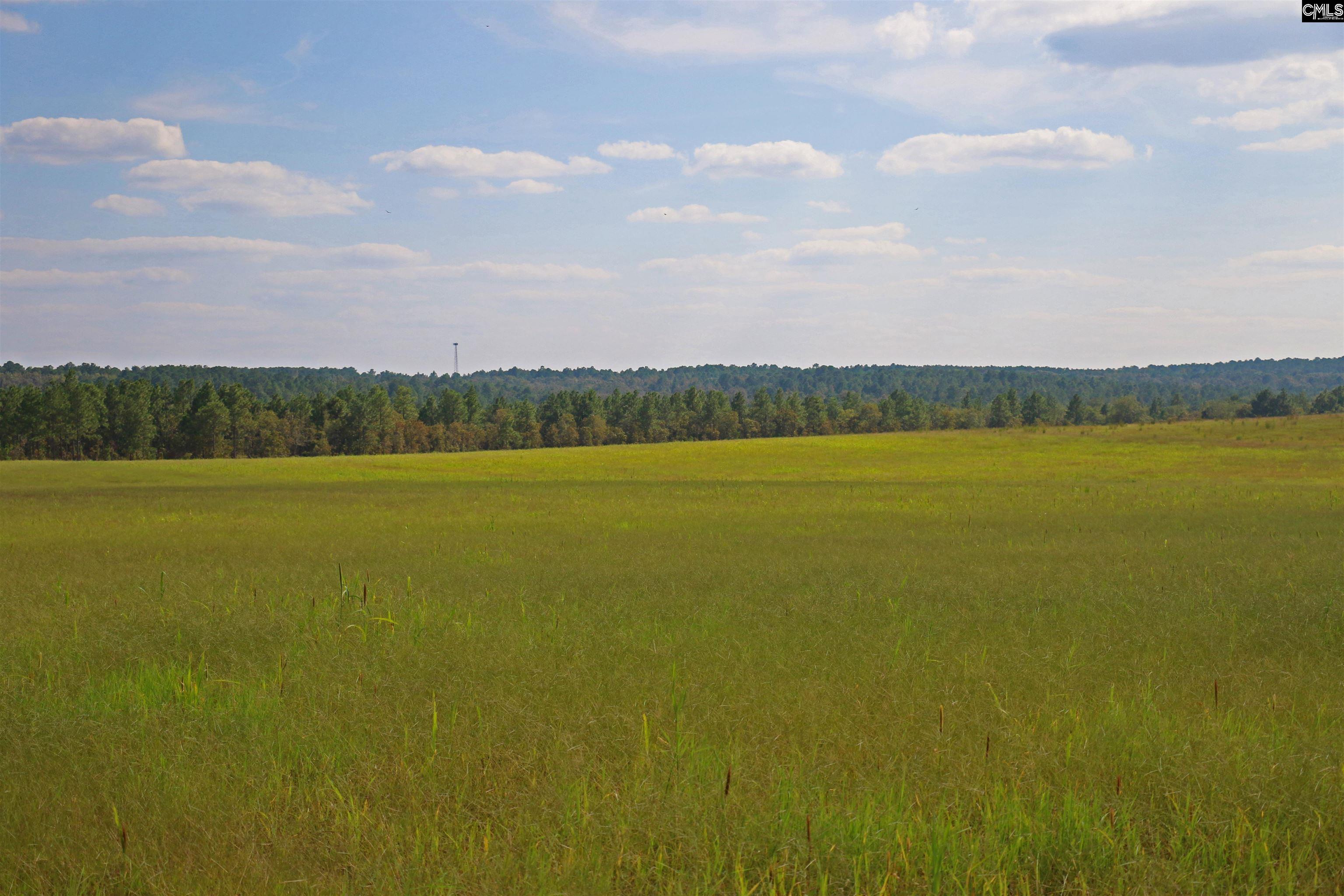 picture-gallery