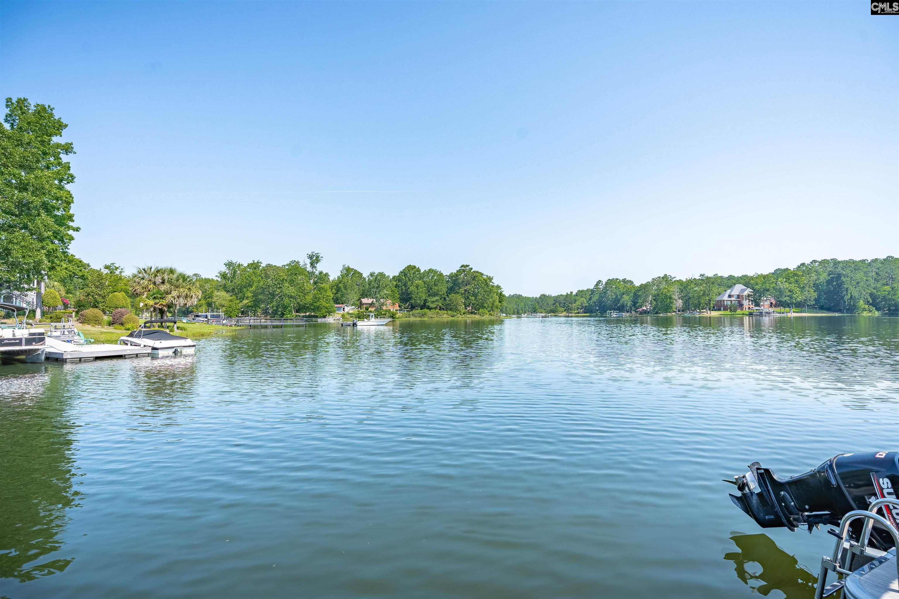 226 Forty Love Point Chapin, SC 29036