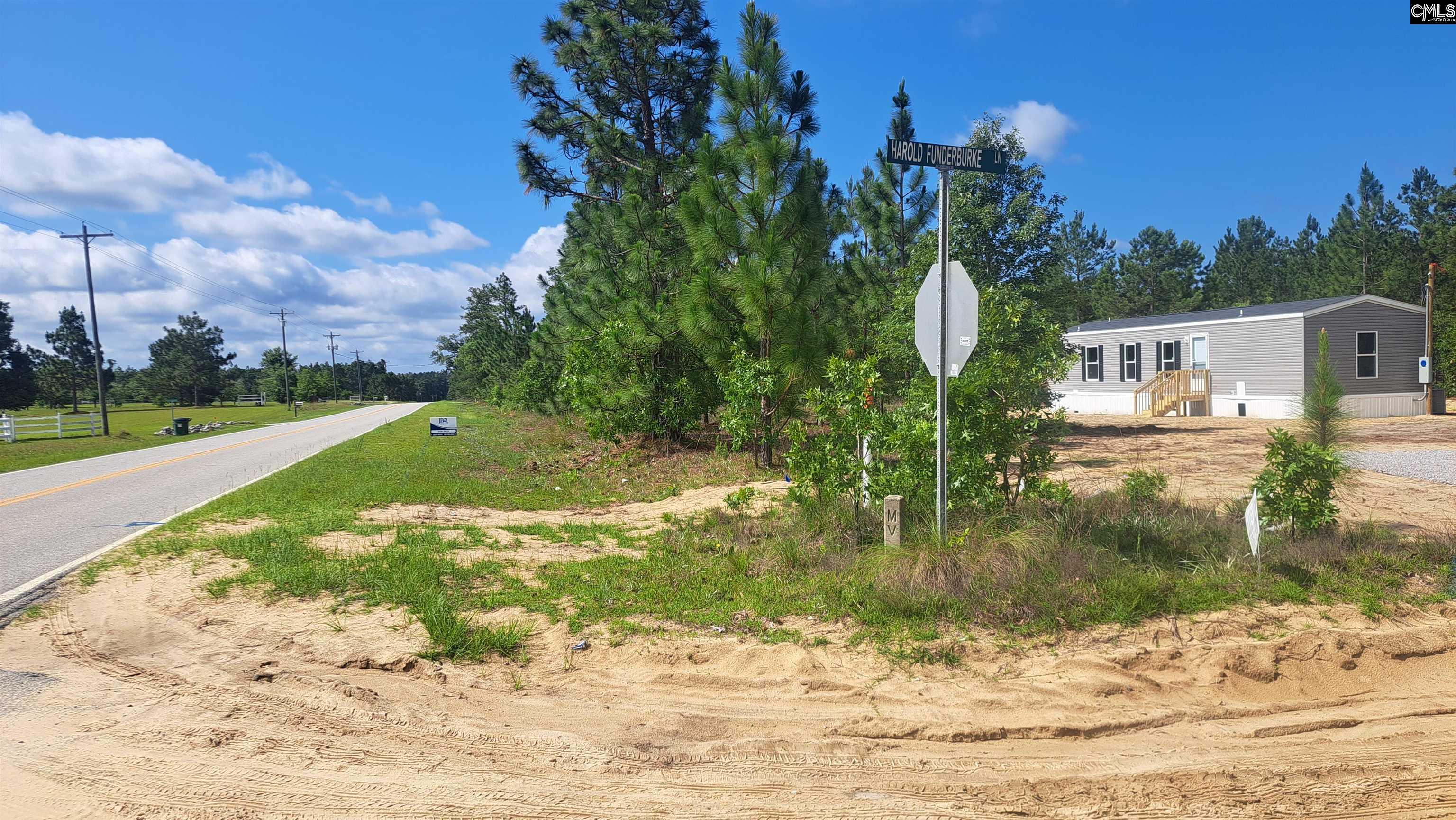 3 Harold Funderburke Lane, Hartsville, South Carolina image 9