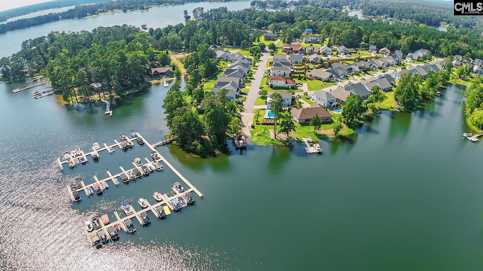 122 Azur Avenue, Chapin, South Carolina image 3
