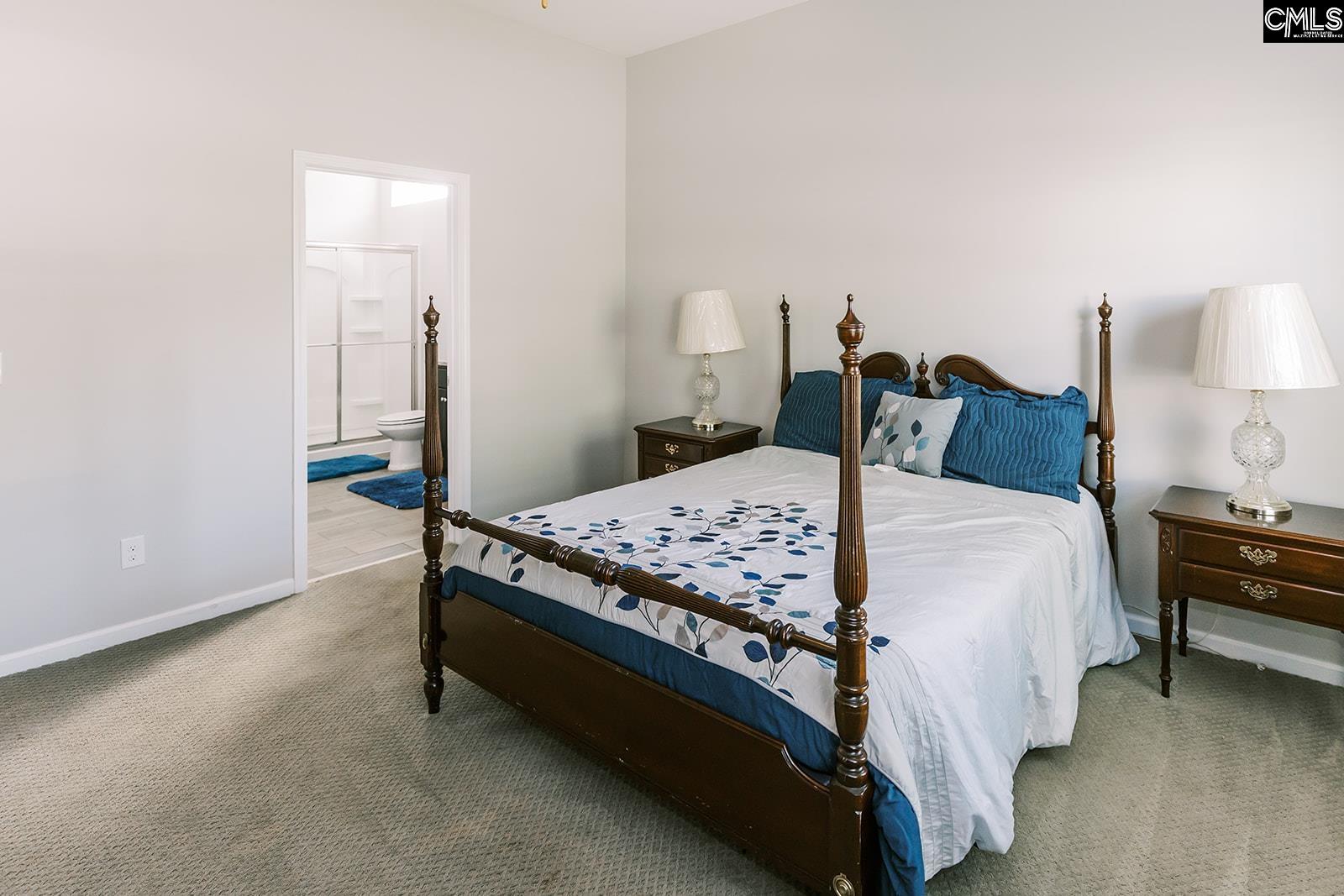 122 Azur Avenue, Chapin, South Carolina image 28