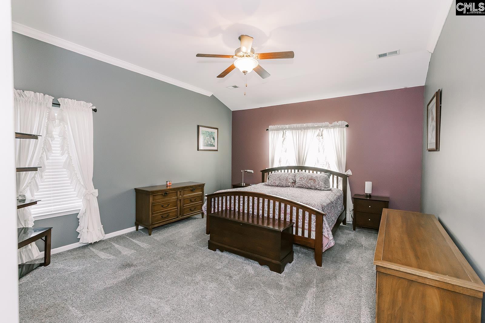 122 Azur Avenue, Chapin, South Carolina image 31