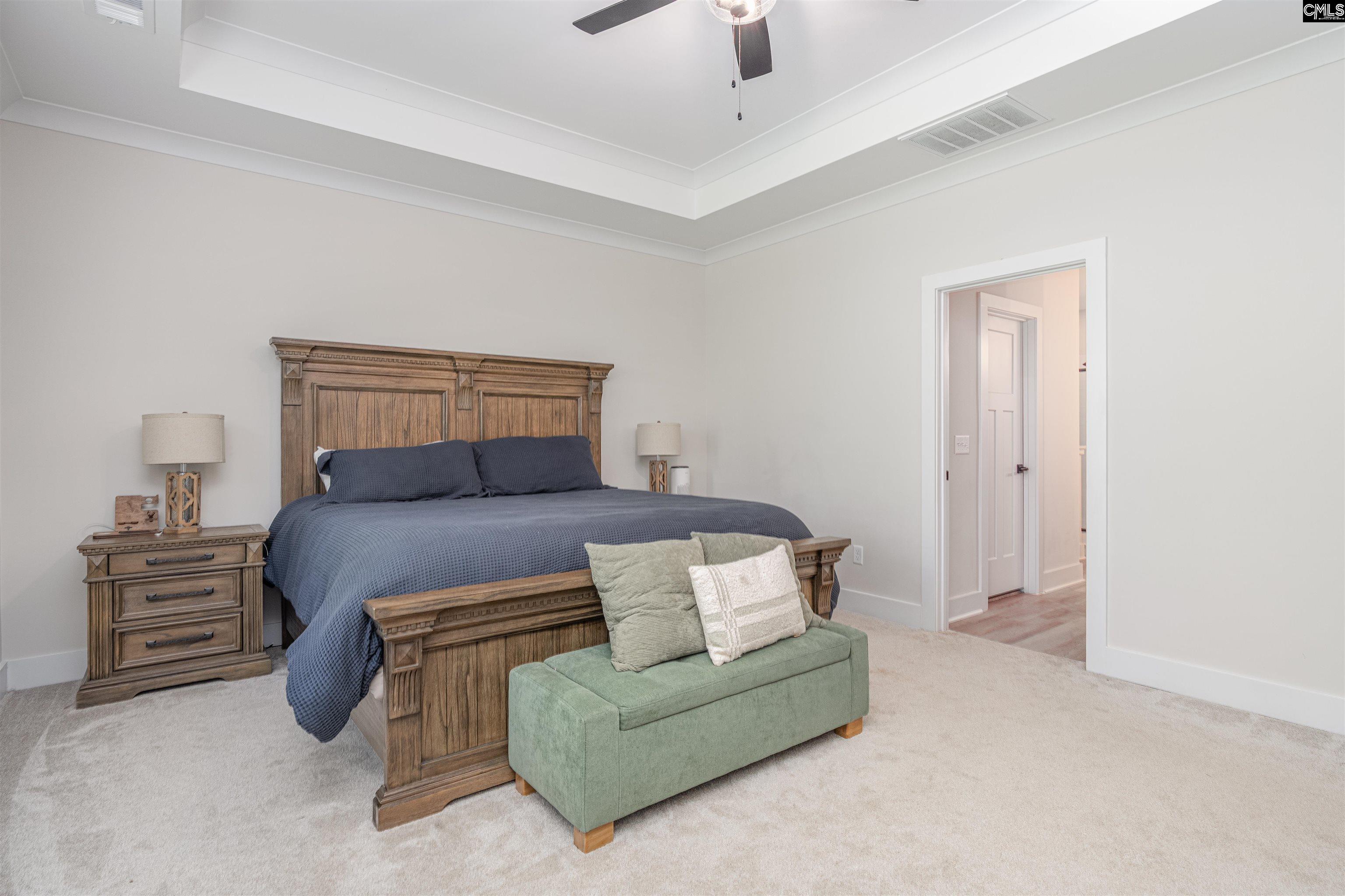 223 Murray Falls Lane, Chapin, South Carolina image 19