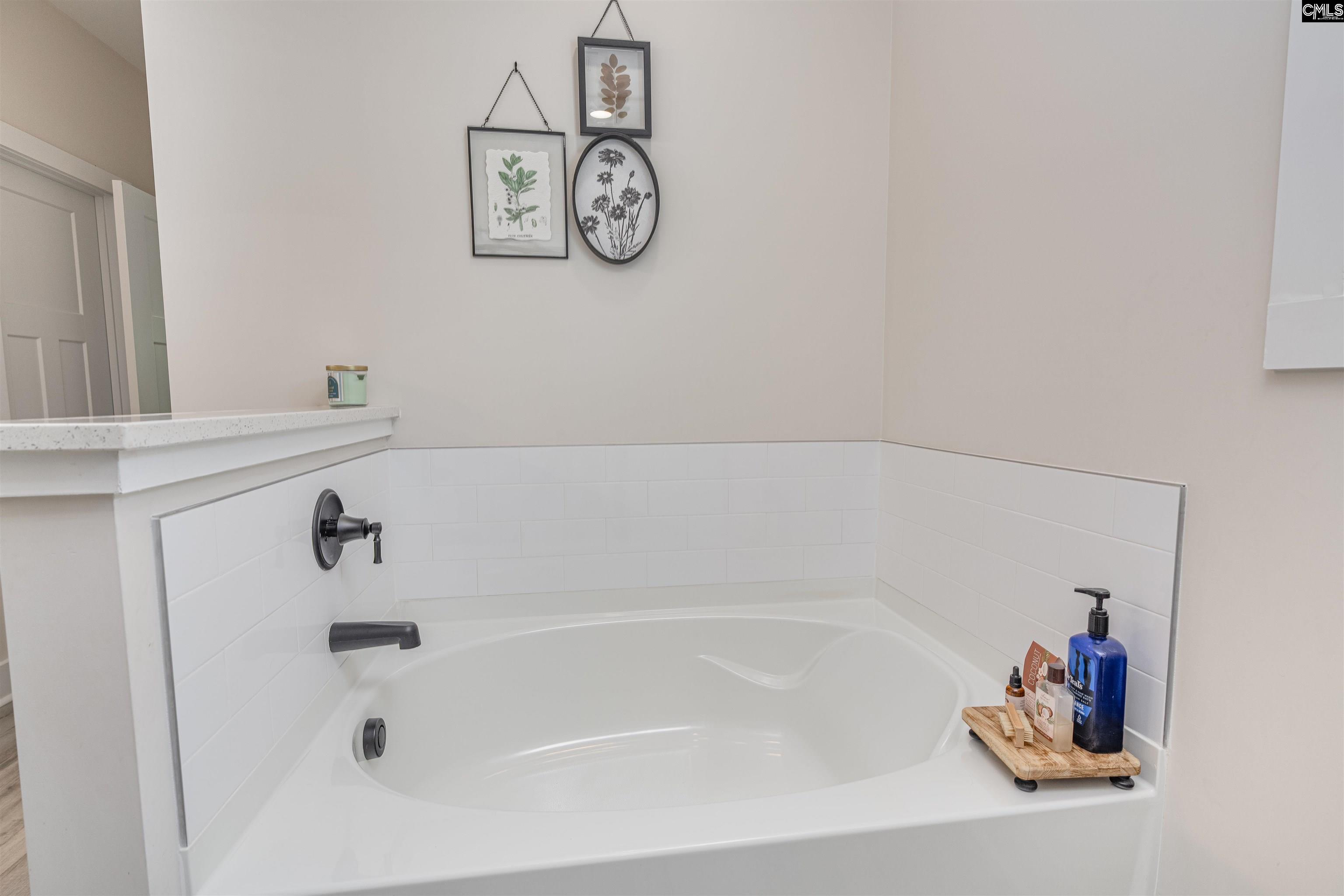 223 Murray Falls Lane, Chapin, South Carolina image 23