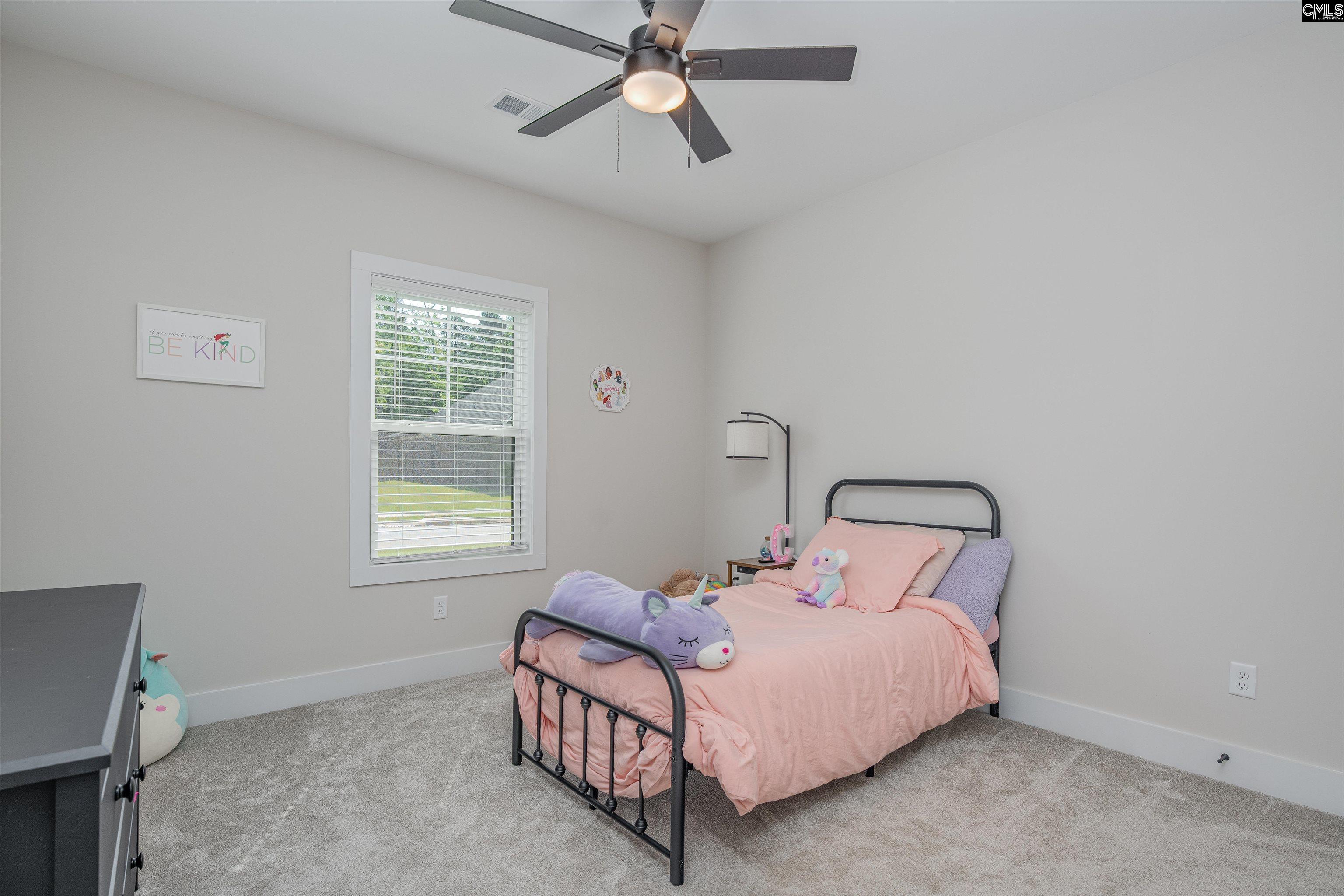 223 Murray Falls Lane, Chapin, South Carolina image 24