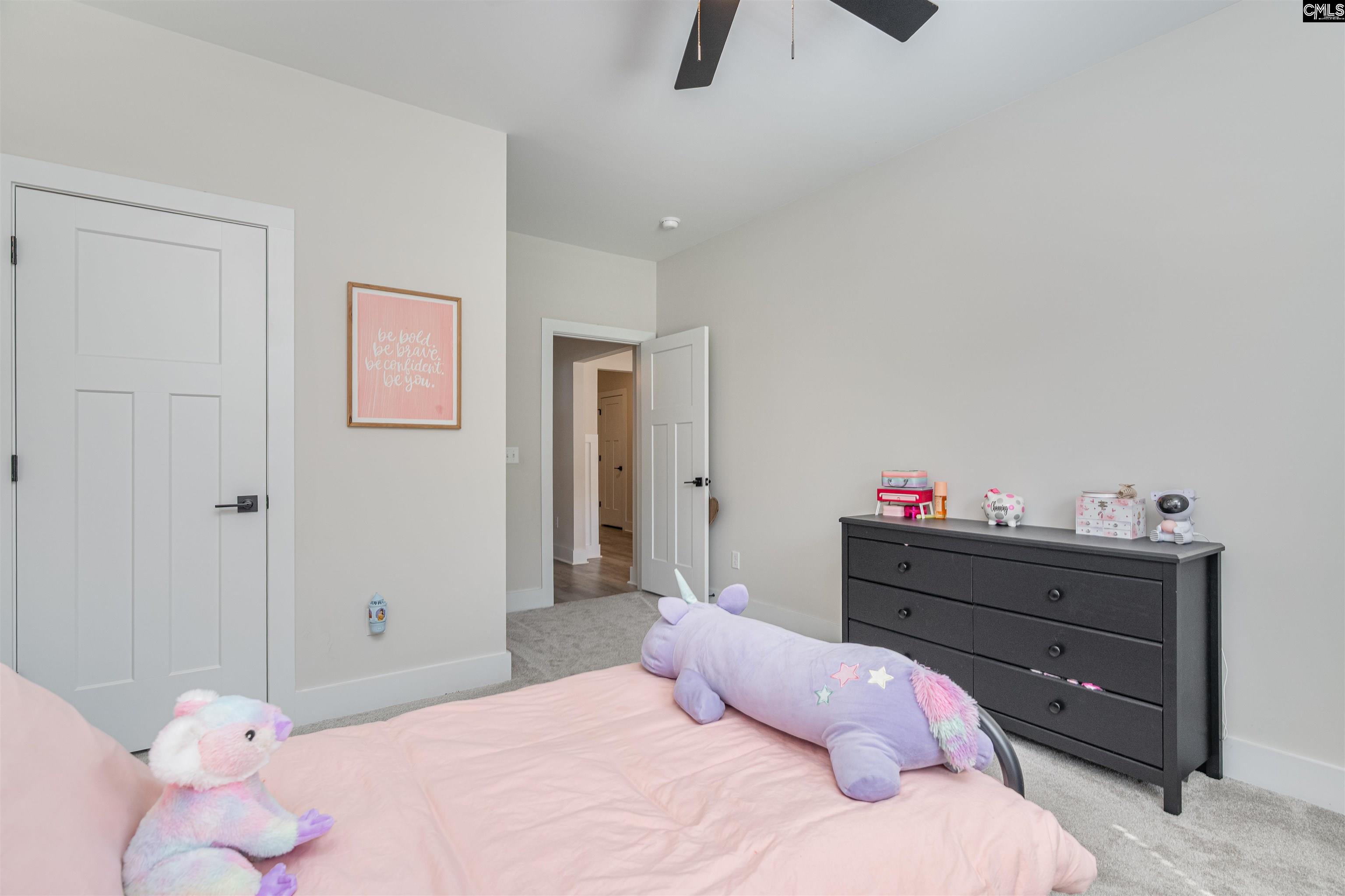 223 Murray Falls Lane, Chapin, South Carolina image 25
