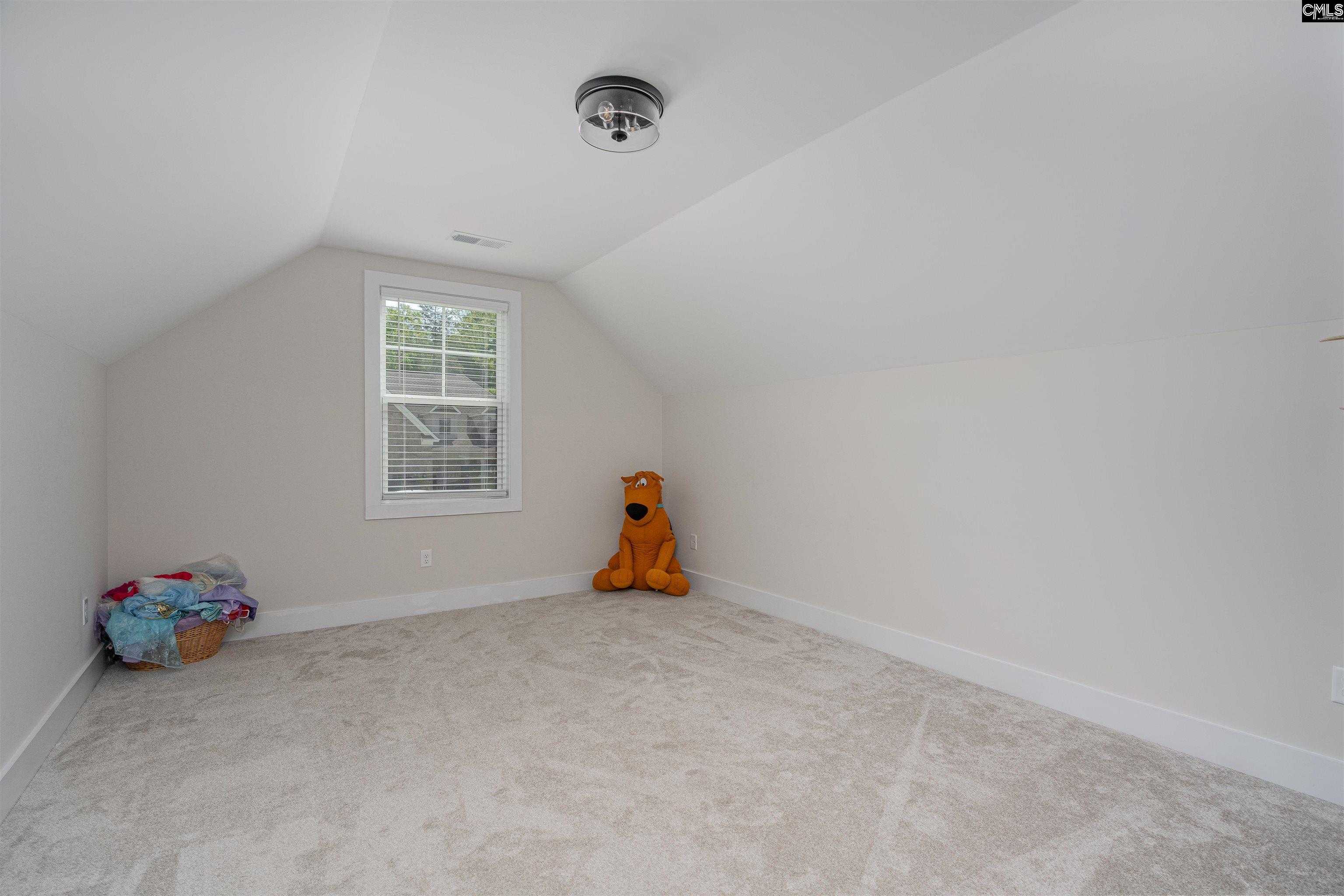 223 Murray Falls Lane, Chapin, South Carolina image 29