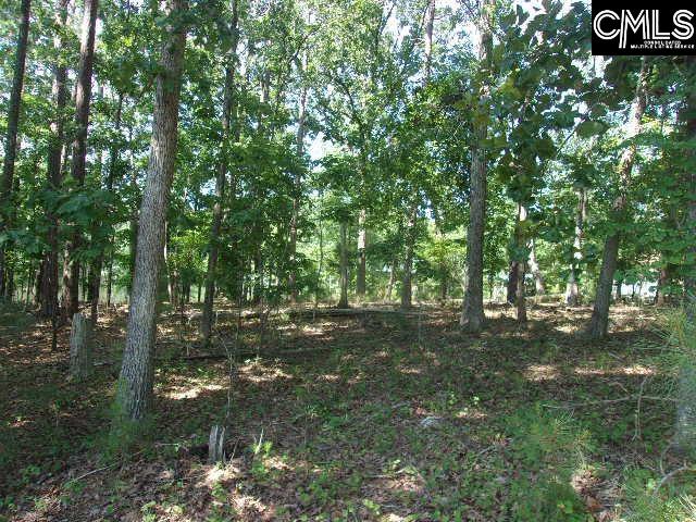 216 Rebecca Drive, Leesville, South Carolina image 2
