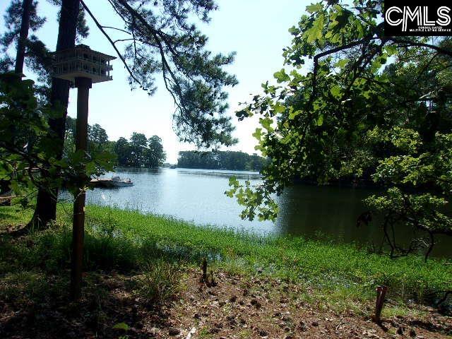 216 Rebecca Drive, Leesville, South Carolina image 3