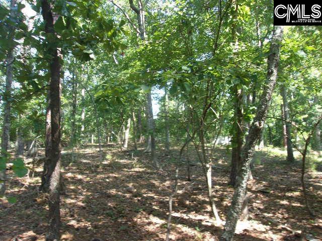 216 Rebecca Drive, Leesville, South Carolina image 4