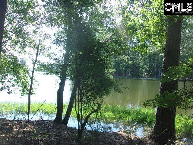 216 Rebecca Drive, Leesville, South Carolina image 5