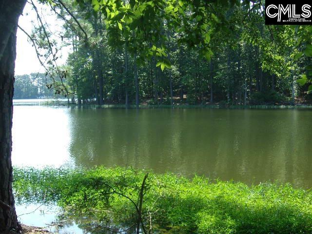 216 Rebecca Drive, Leesville, South Carolina image 6