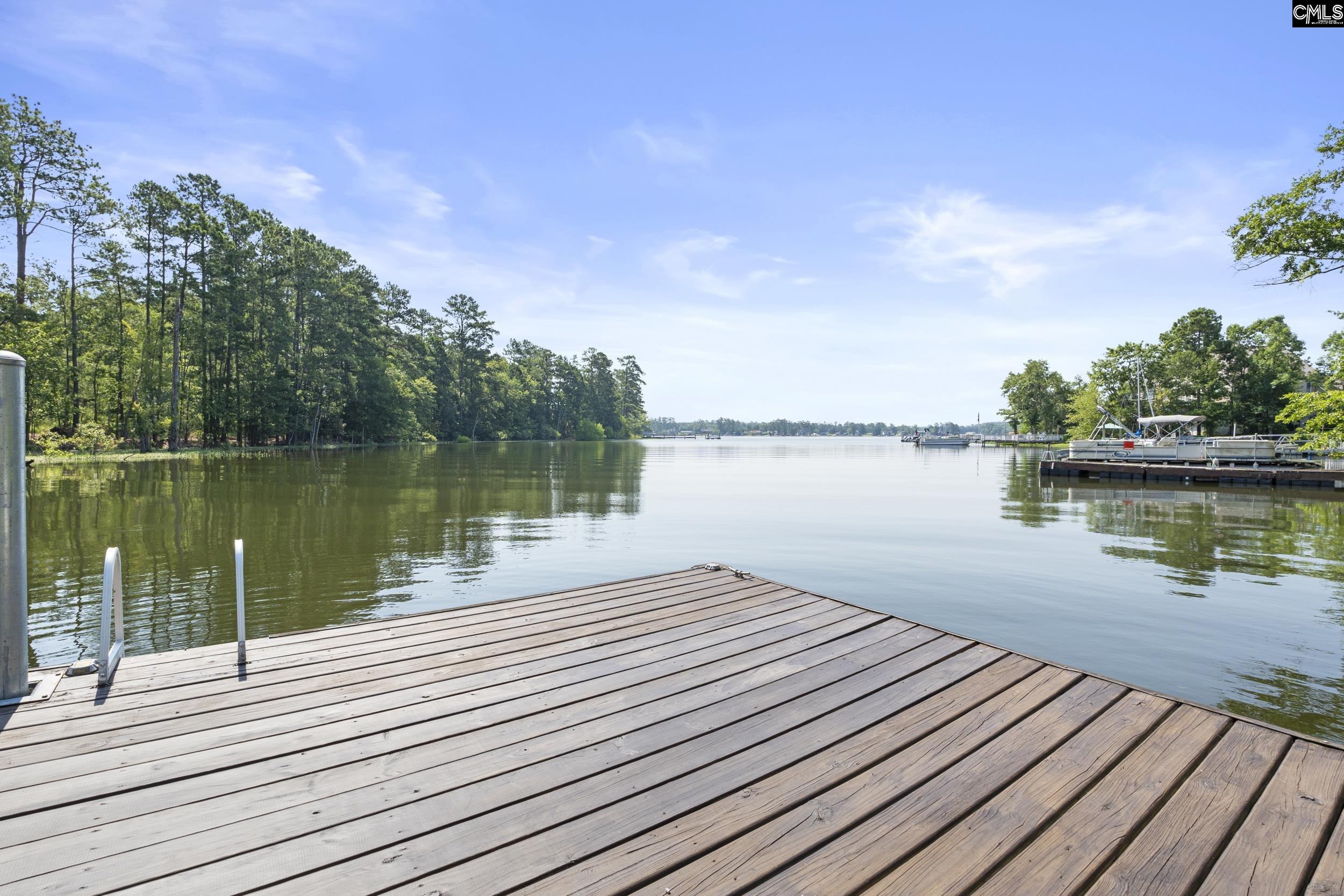 450 Lakeshore Drive, Leesville, South Carolina image 48