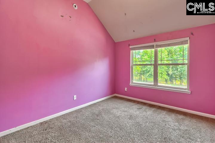 104 Westcott Ridge Road, Chapin, South Carolina image 37