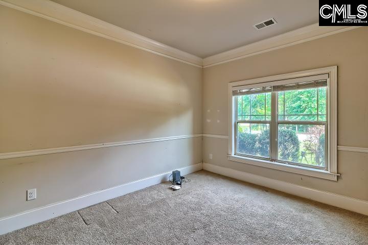 104 Westcott Ridge Road, Chapin, South Carolina image 7