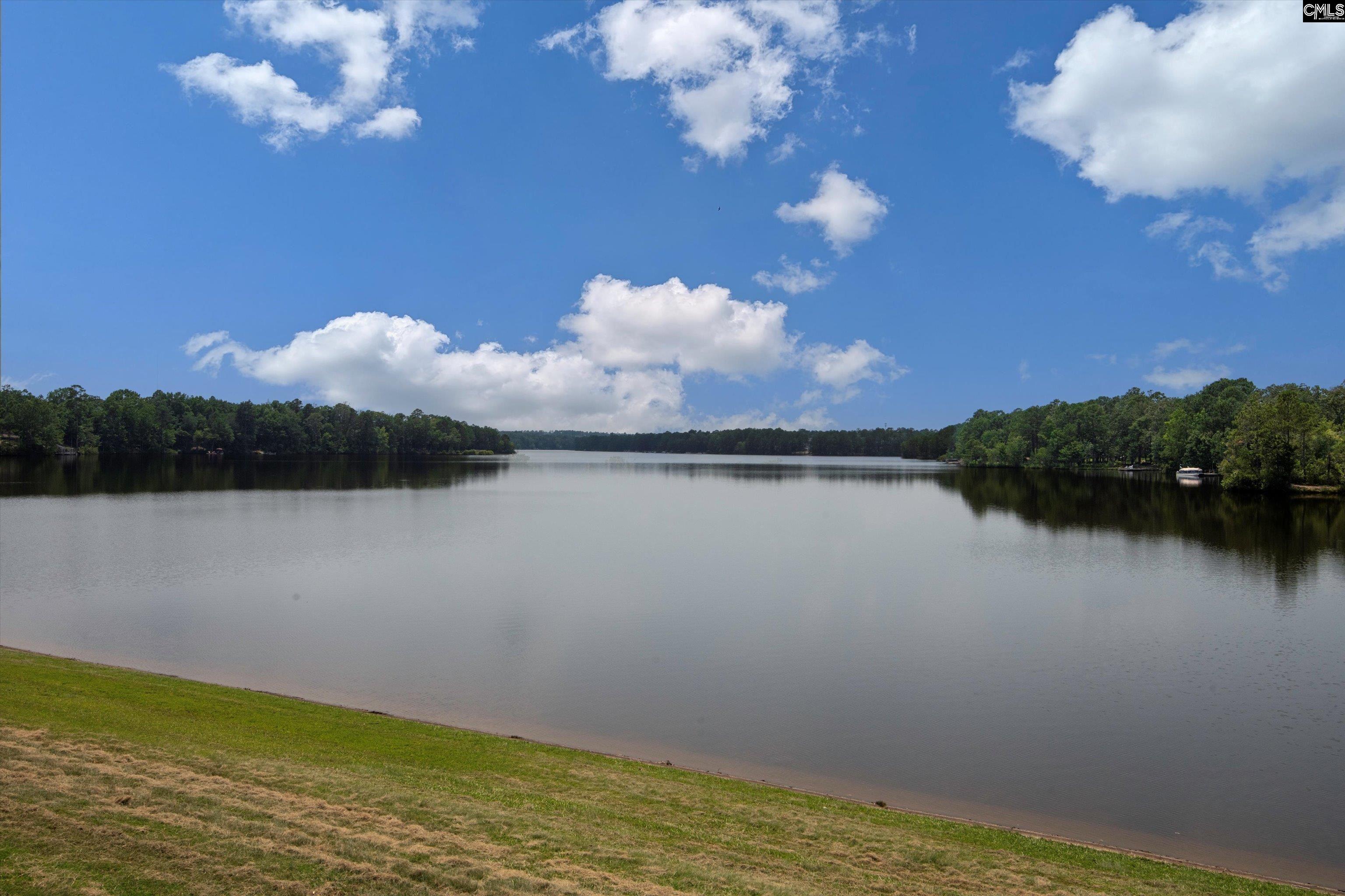 478 Harbour Pointe Drive Columbia, SC 29229