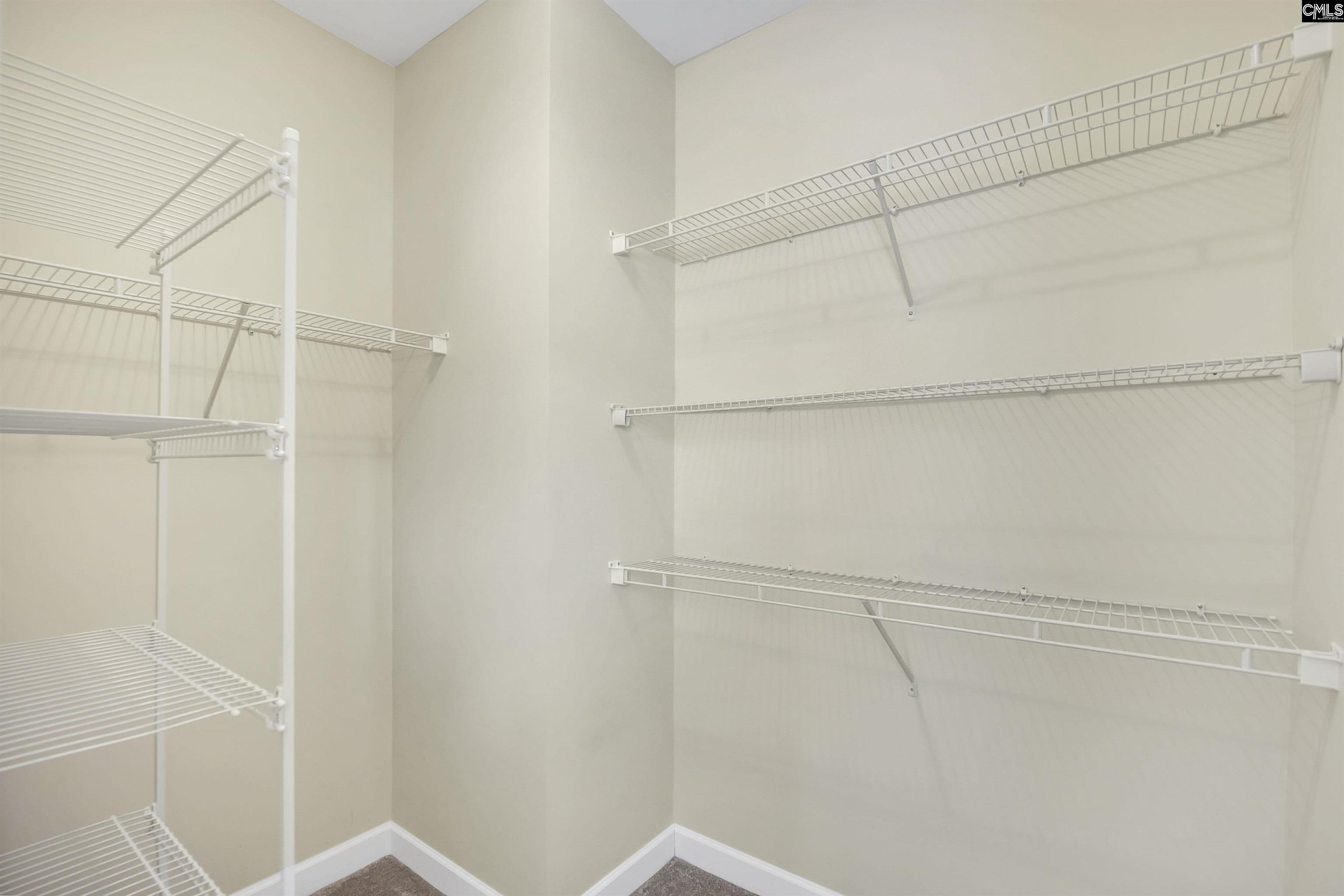 124 Hamilton Park Drive, Irmo, South Carolina image 31