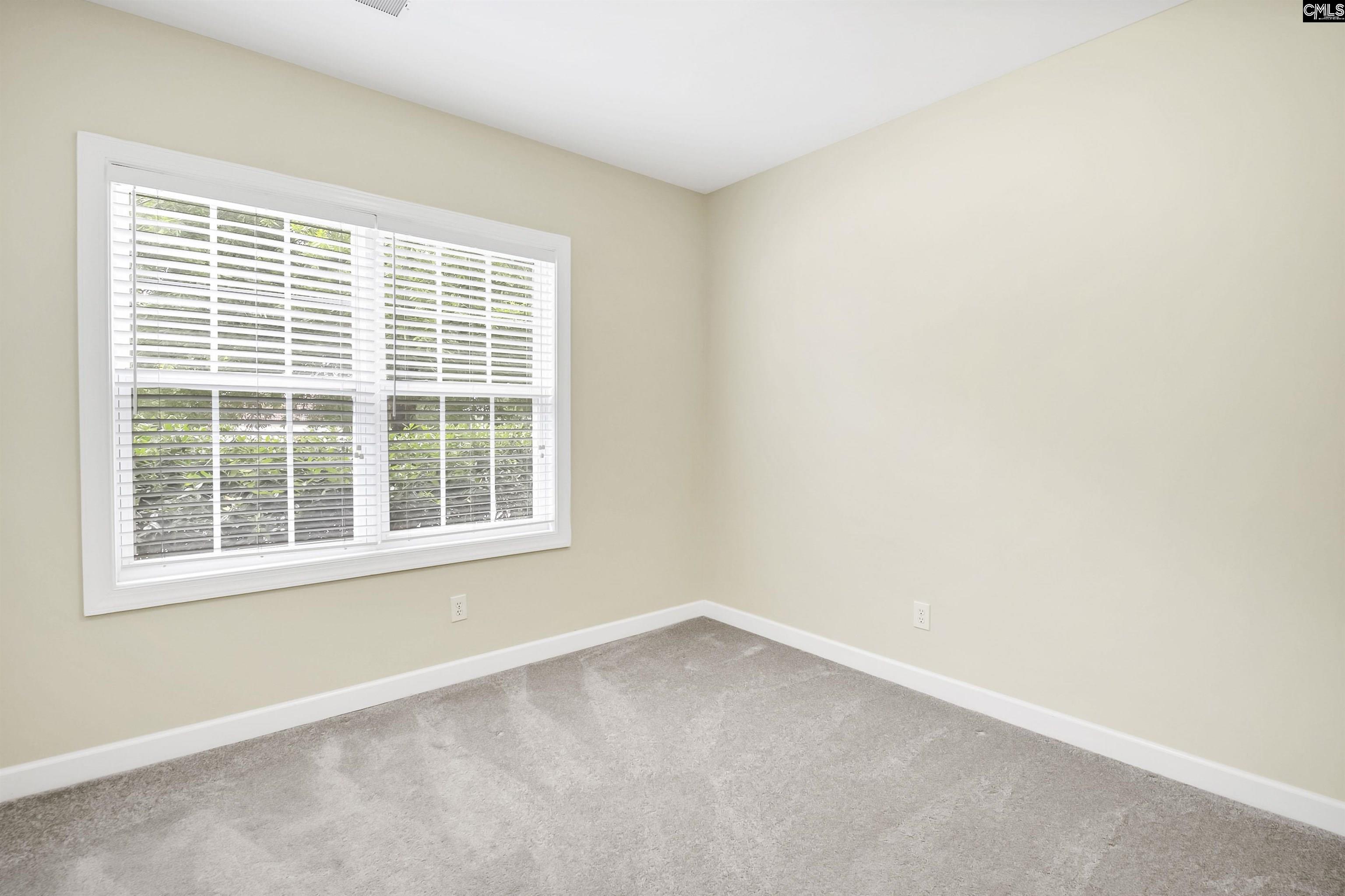 124 Hamilton Park Drive, Irmo, South Carolina image 38