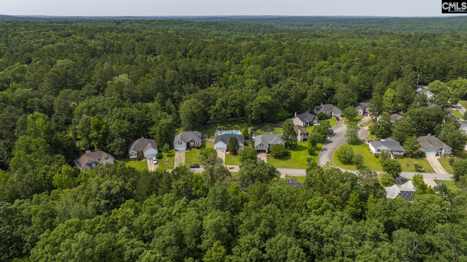 614 Beech Branch Drive, Irmo, South Carolina image 42