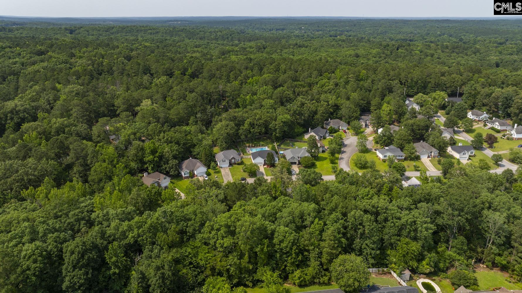 614 Beech Branch Drive, Irmo, South Carolina image 43