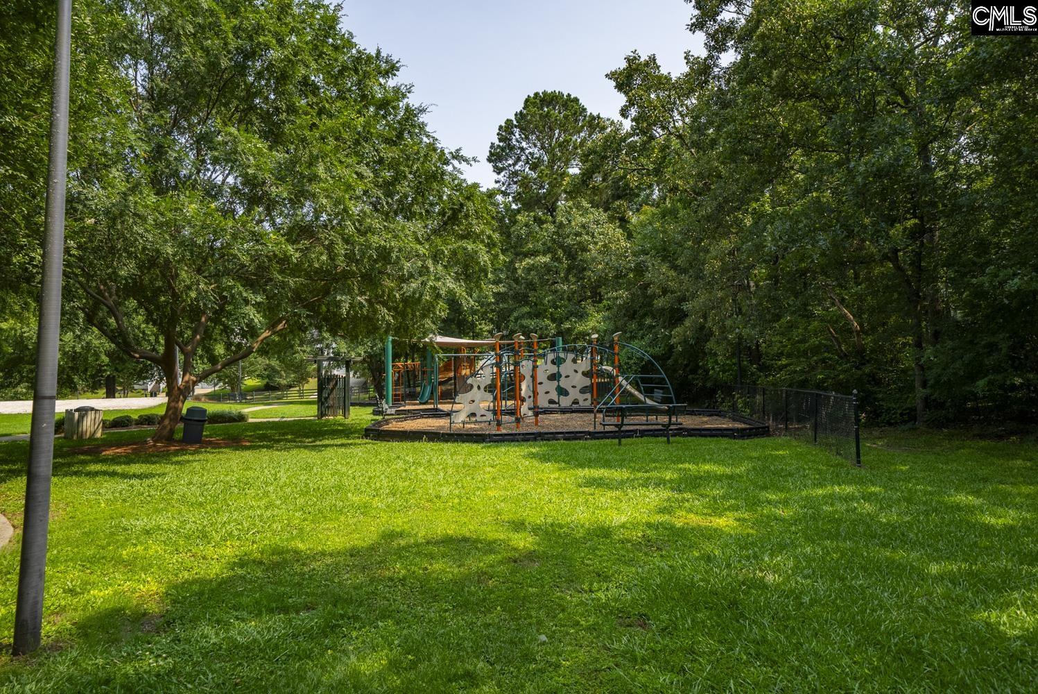 614 Beech Branch Drive Irmo, SC 29063
