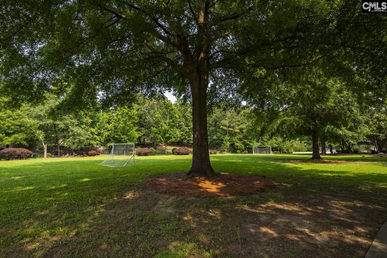 614 Beech Branch Drive Irmo, SC 29063