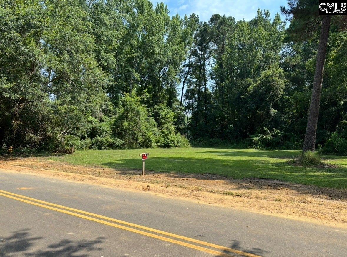 2185 New Wilkinson Avenue, Orangeburg, South Carolina image 7