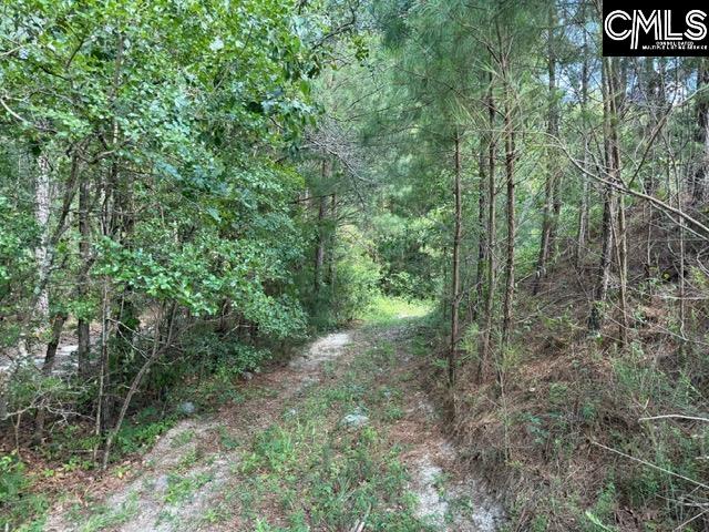 148 Cathy, Lexington, South Carolina image 24