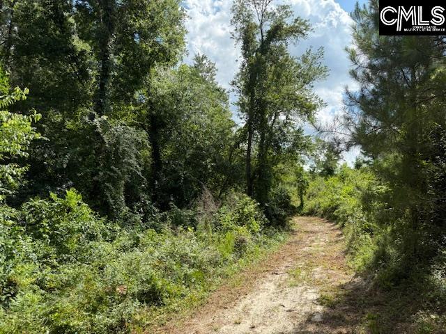 148 Cathy, Lexington, South Carolina image 29