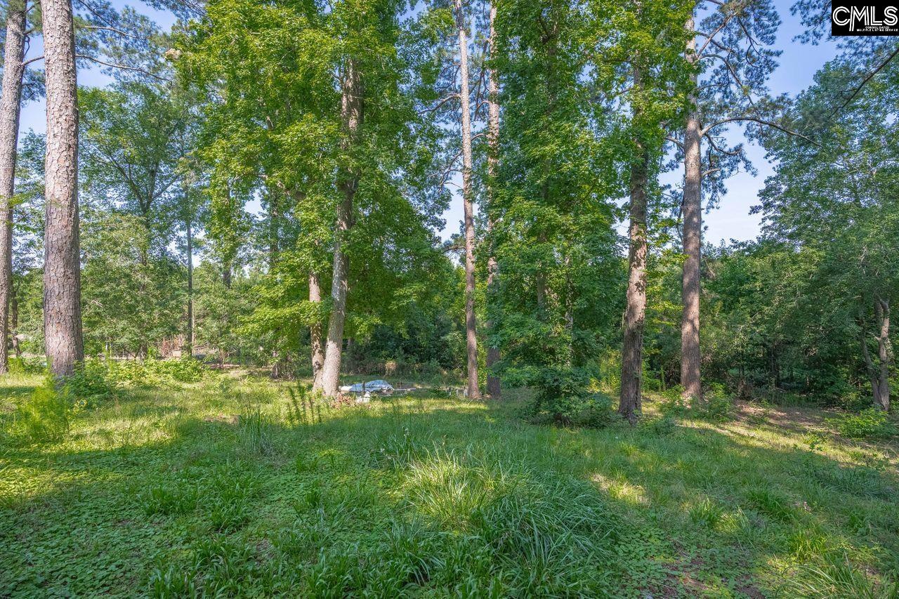 Lake Elizabeth Drive Columbia, SC 29203