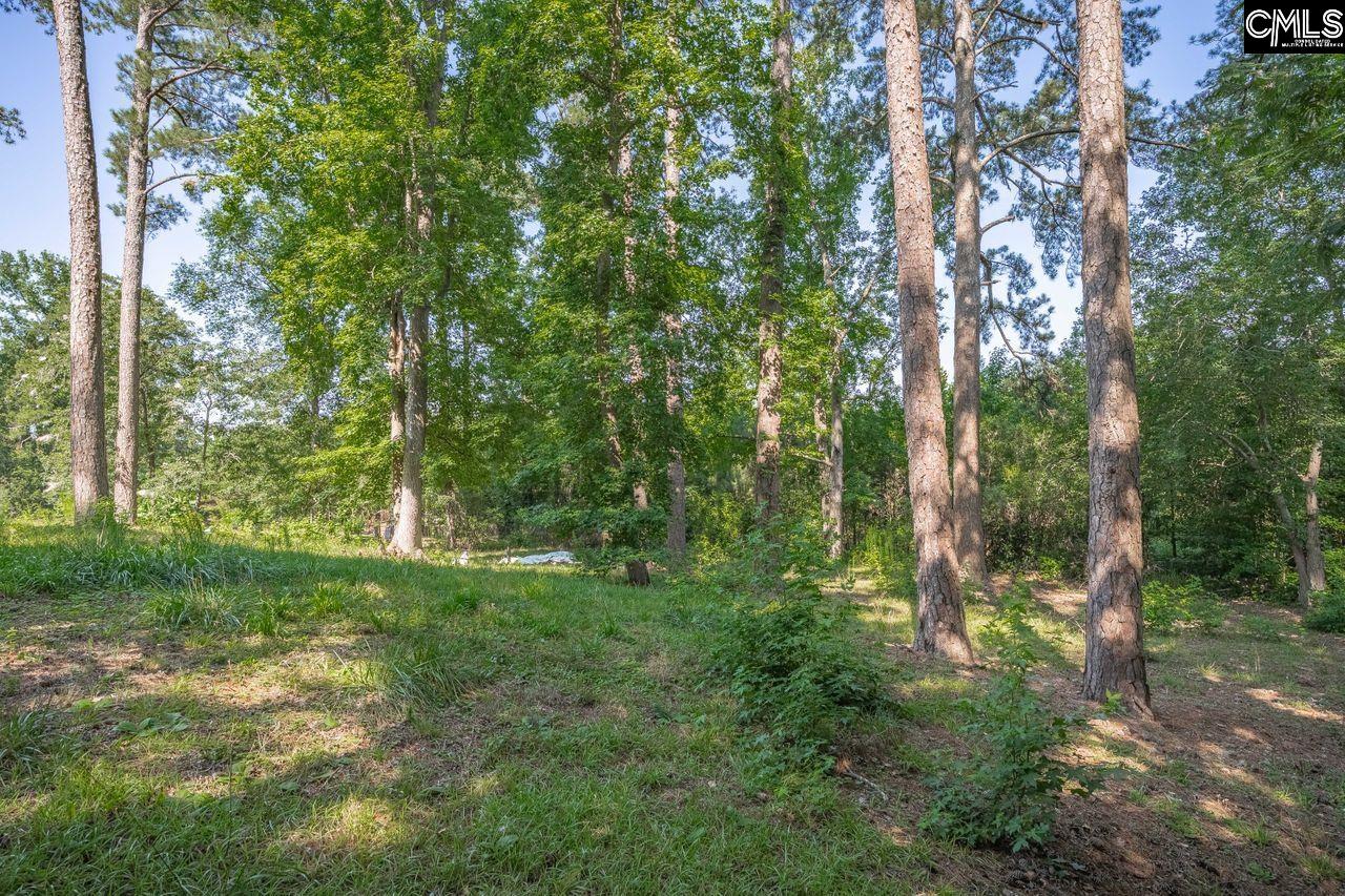 Lake Elizabeth Drive Columbia, SC 29203