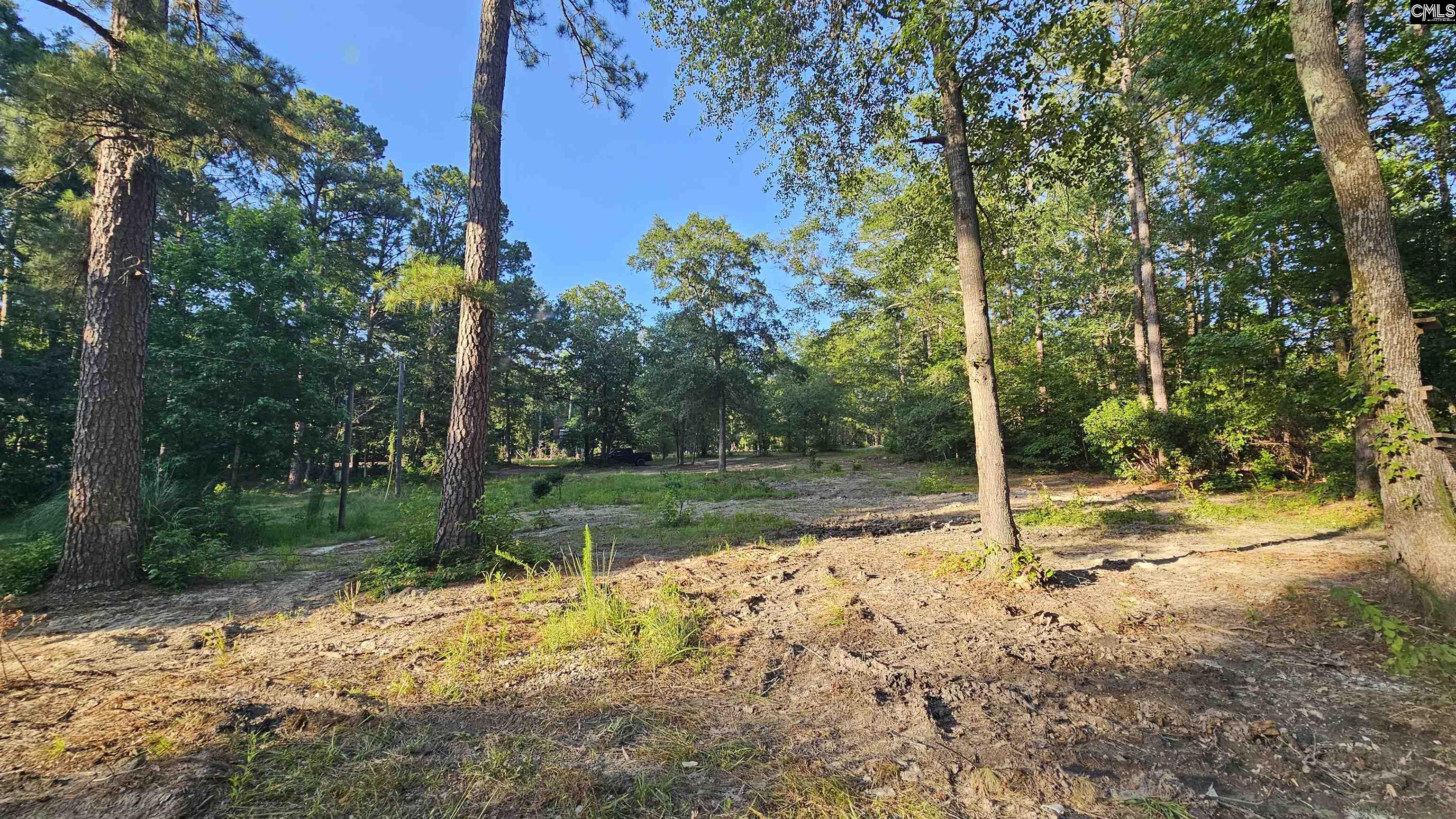 684 Lost Branch Road, Lexington, South Carolina image 3