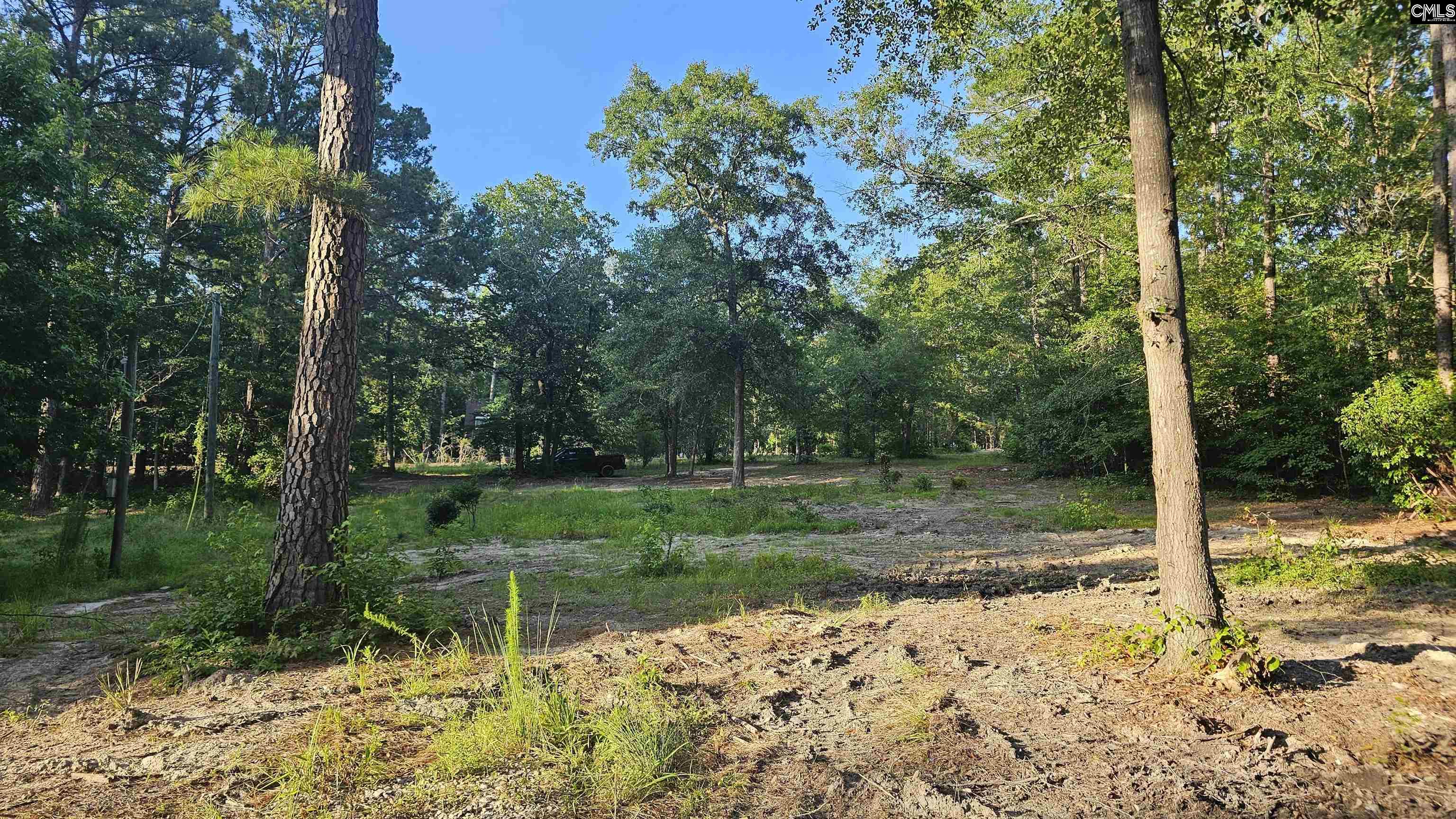 684 Lost Branch Road, Lexington, South Carolina image 4