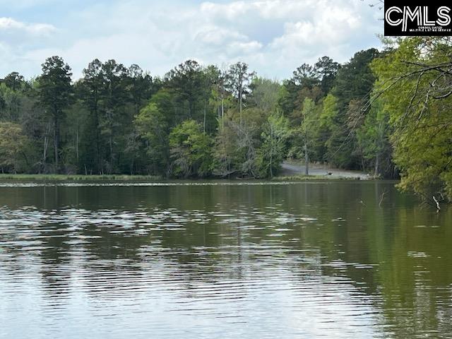 280 General Sumter Drive, Great Falls, South Carolina image 2