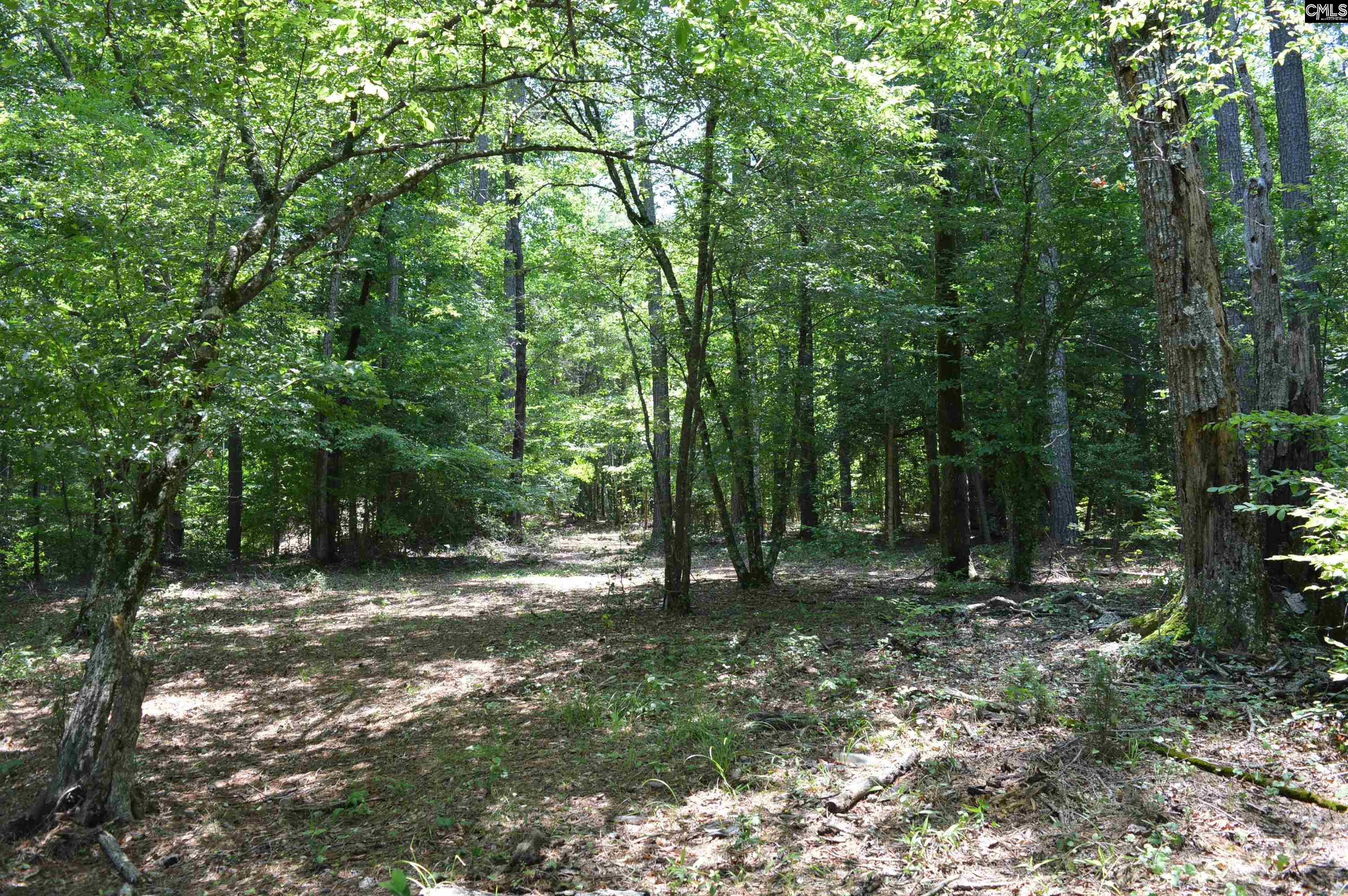 280 General Sumter Drive, Great Falls, South Carolina image 11