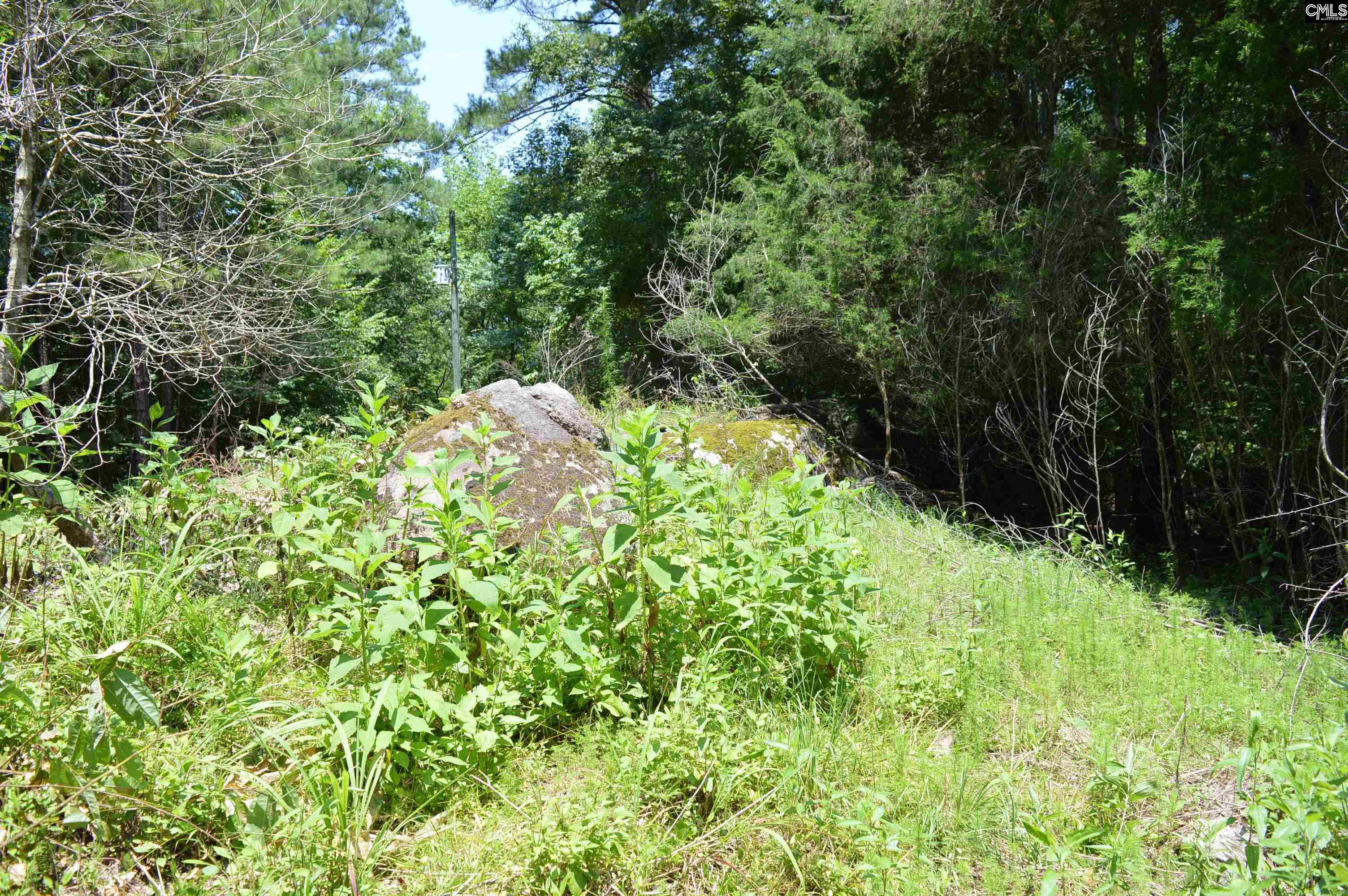 280 General Sumter Drive, Great Falls, South Carolina image 13