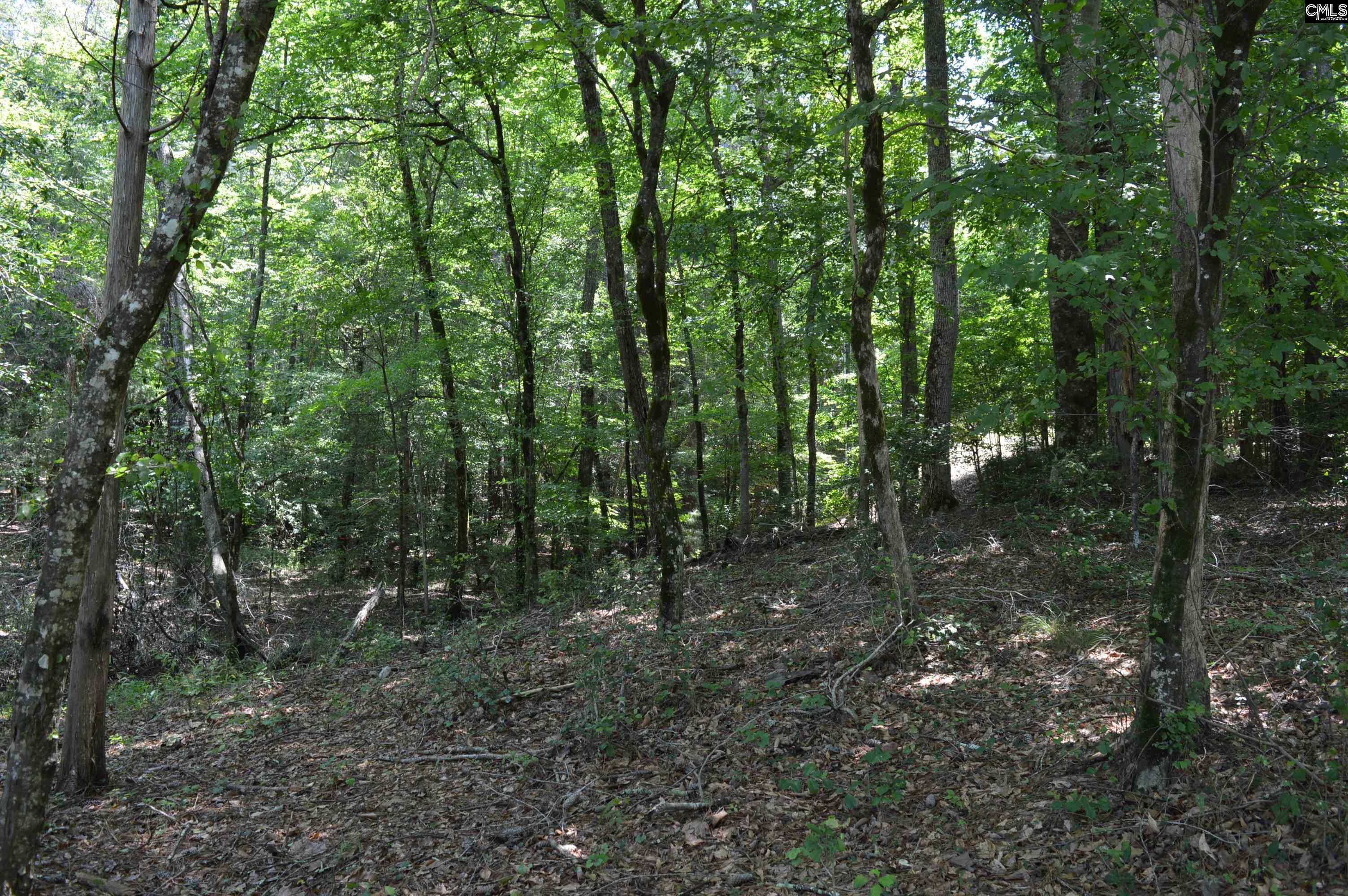 280 General Sumter Drive, Great Falls, South Carolina image 15
