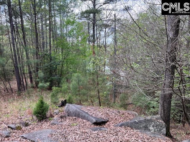280 General Sumter Drive, Great Falls, South Carolina image 8