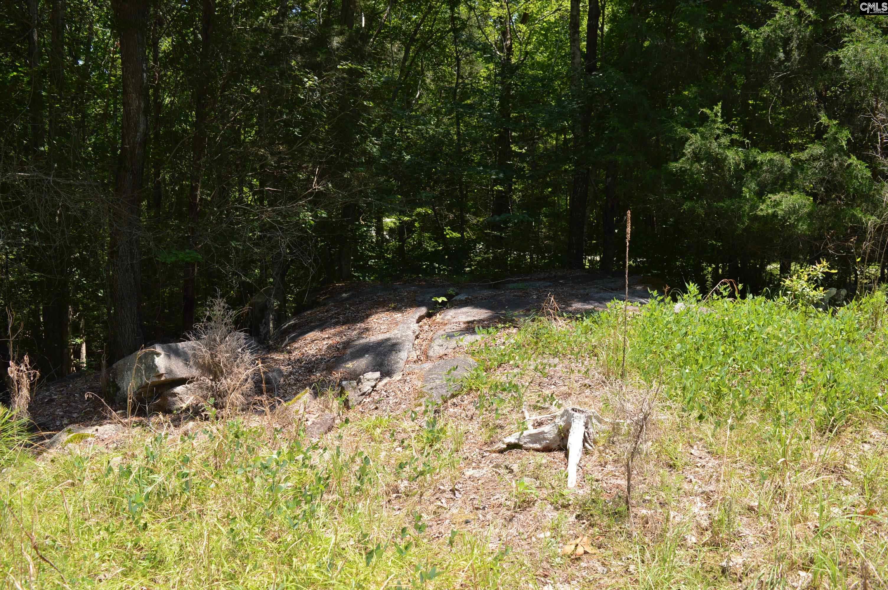 280 General Sumter Drive, Great Falls, South Carolina image 9