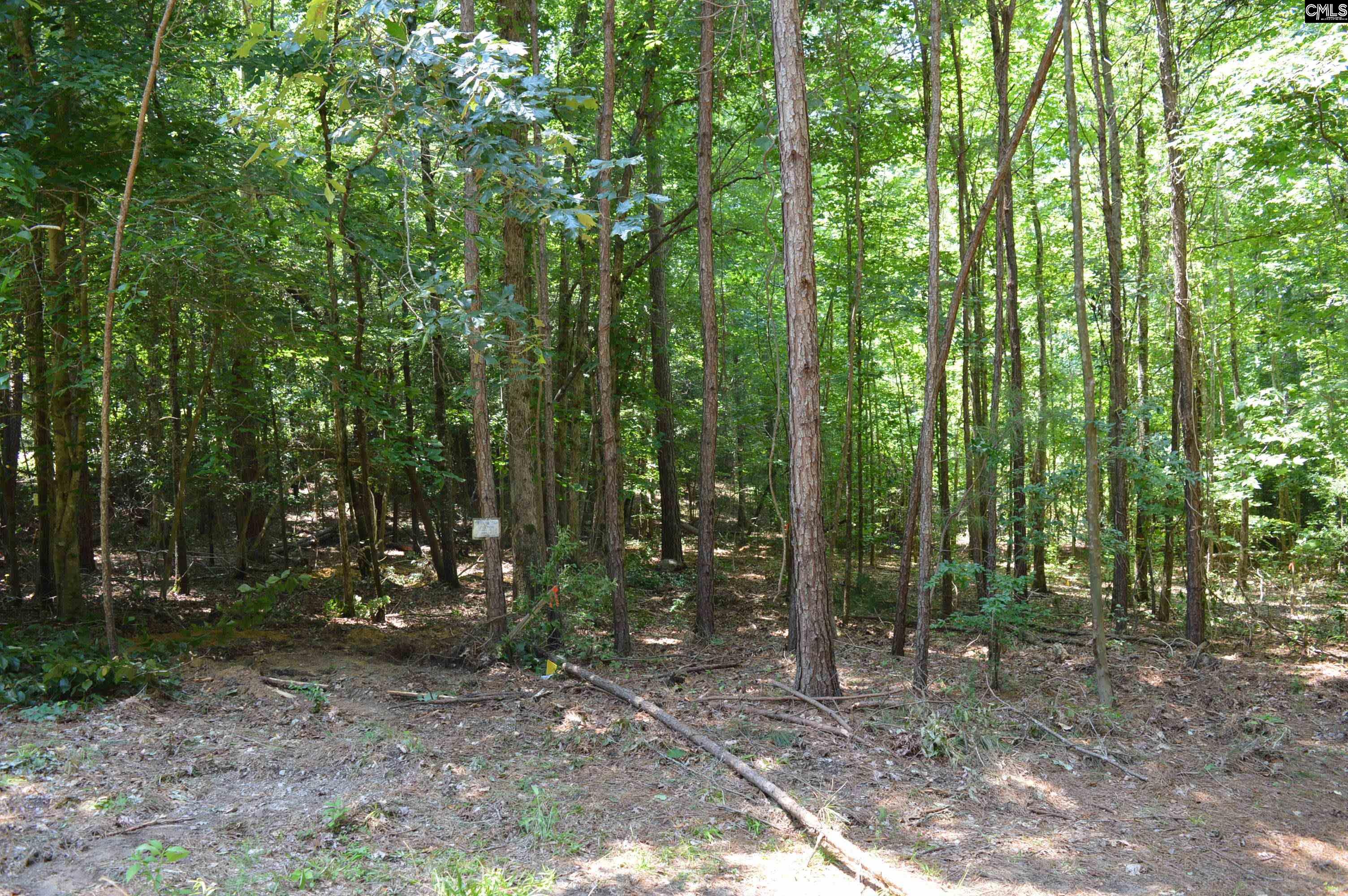 280 General Sumter Drive, Great Falls, South Carolina image 10