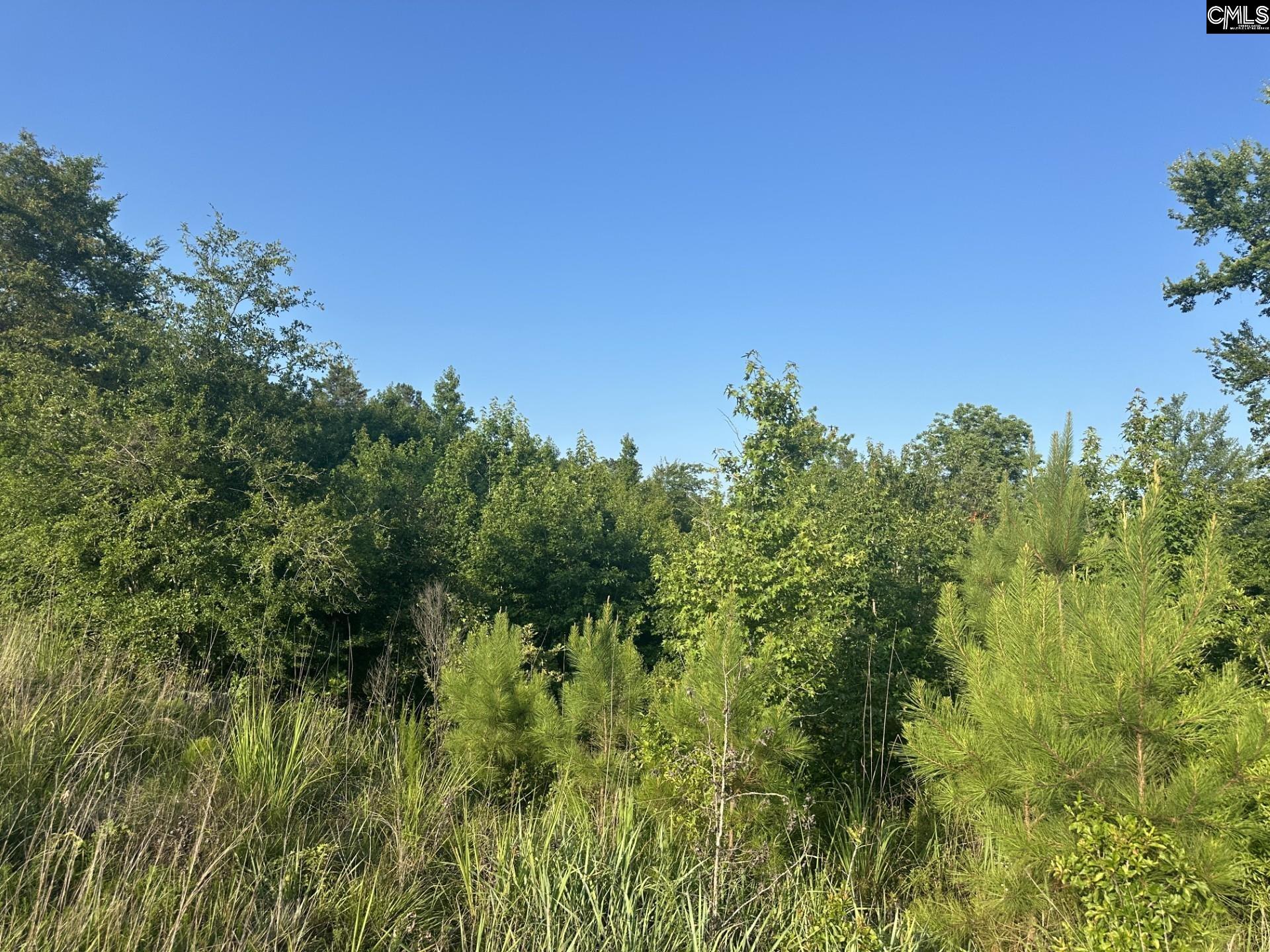 00 Little North Carolina Road, Whitmire, South Carolina image 1
