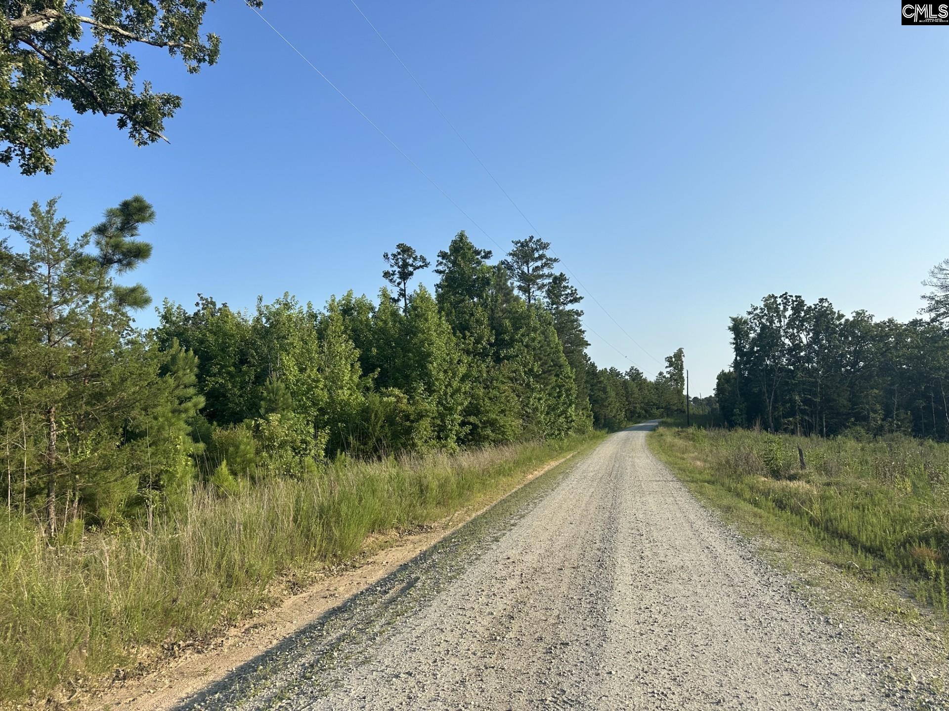 00 Little North Carolina Road, Whitmire, South Carolina image 3