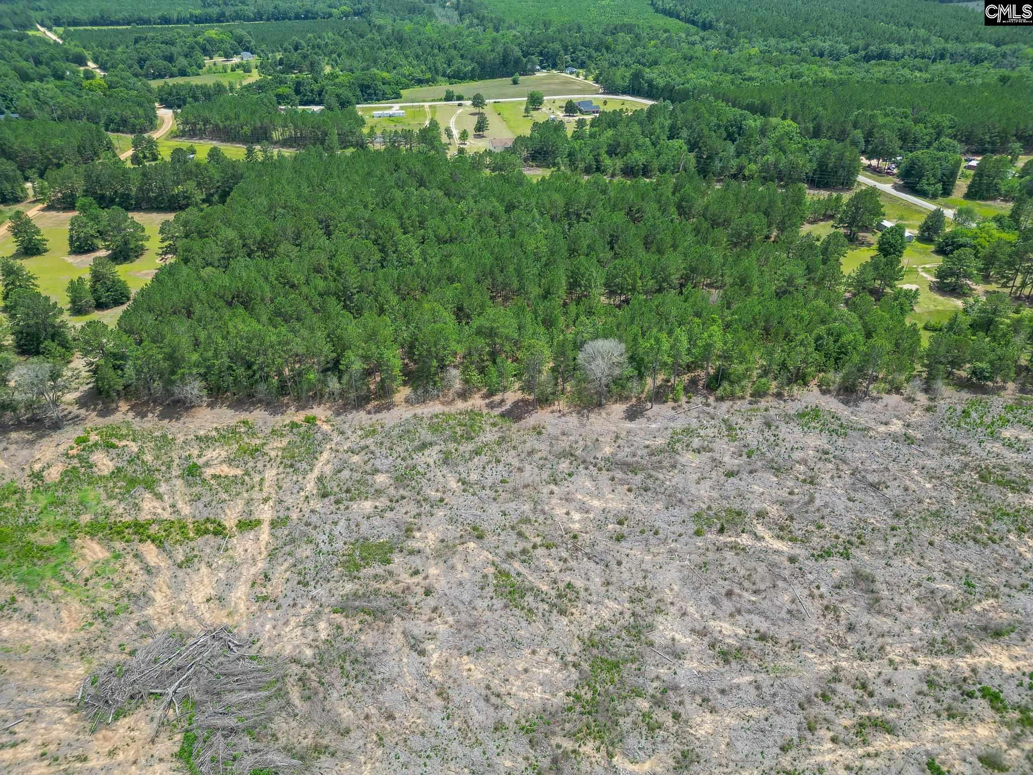 Black River Road, Camden, South Carolina image 1