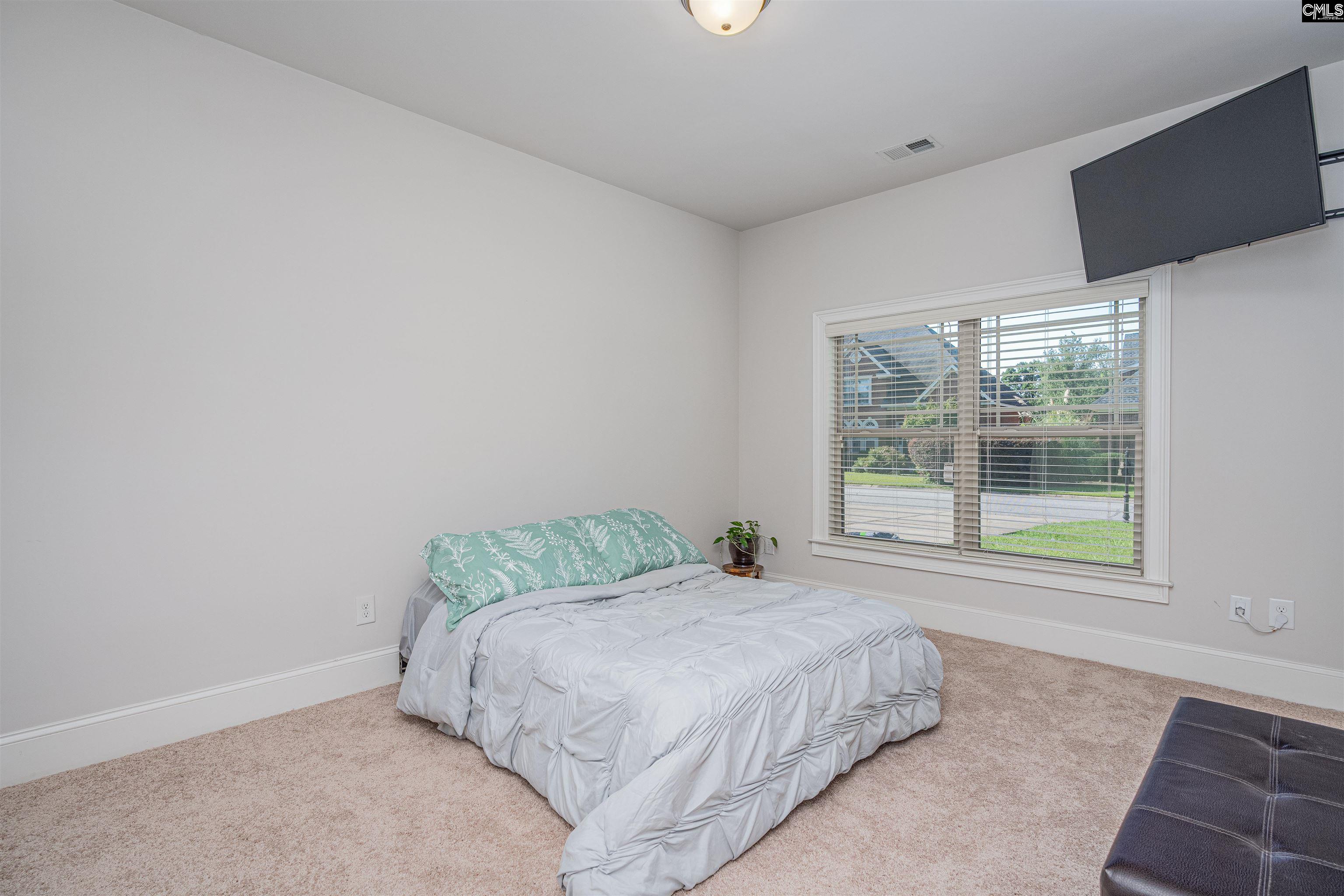 275 Hilton Village, Chapin, South Carolina image 21