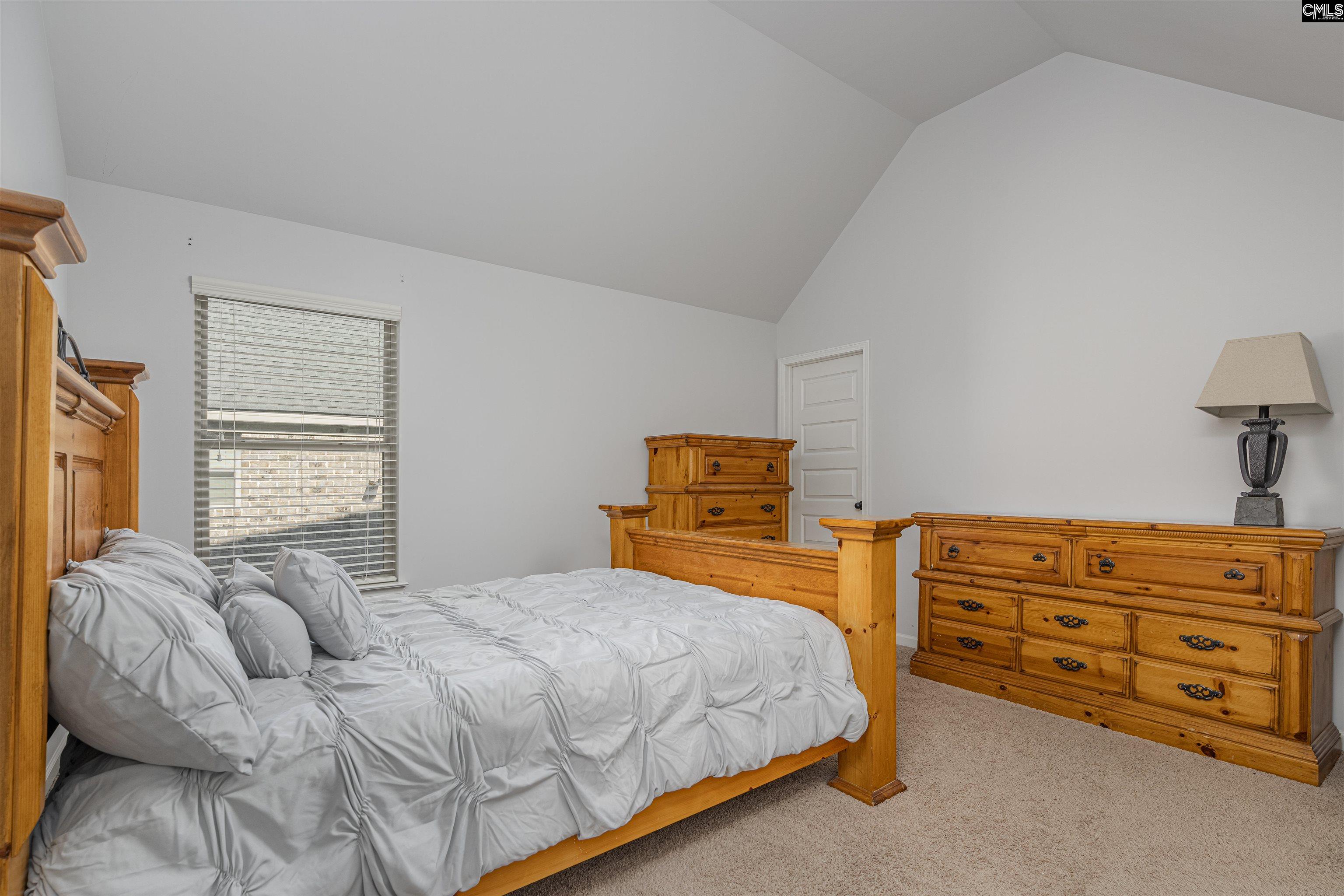 275 Hilton Village, Chapin, South Carolina image 33