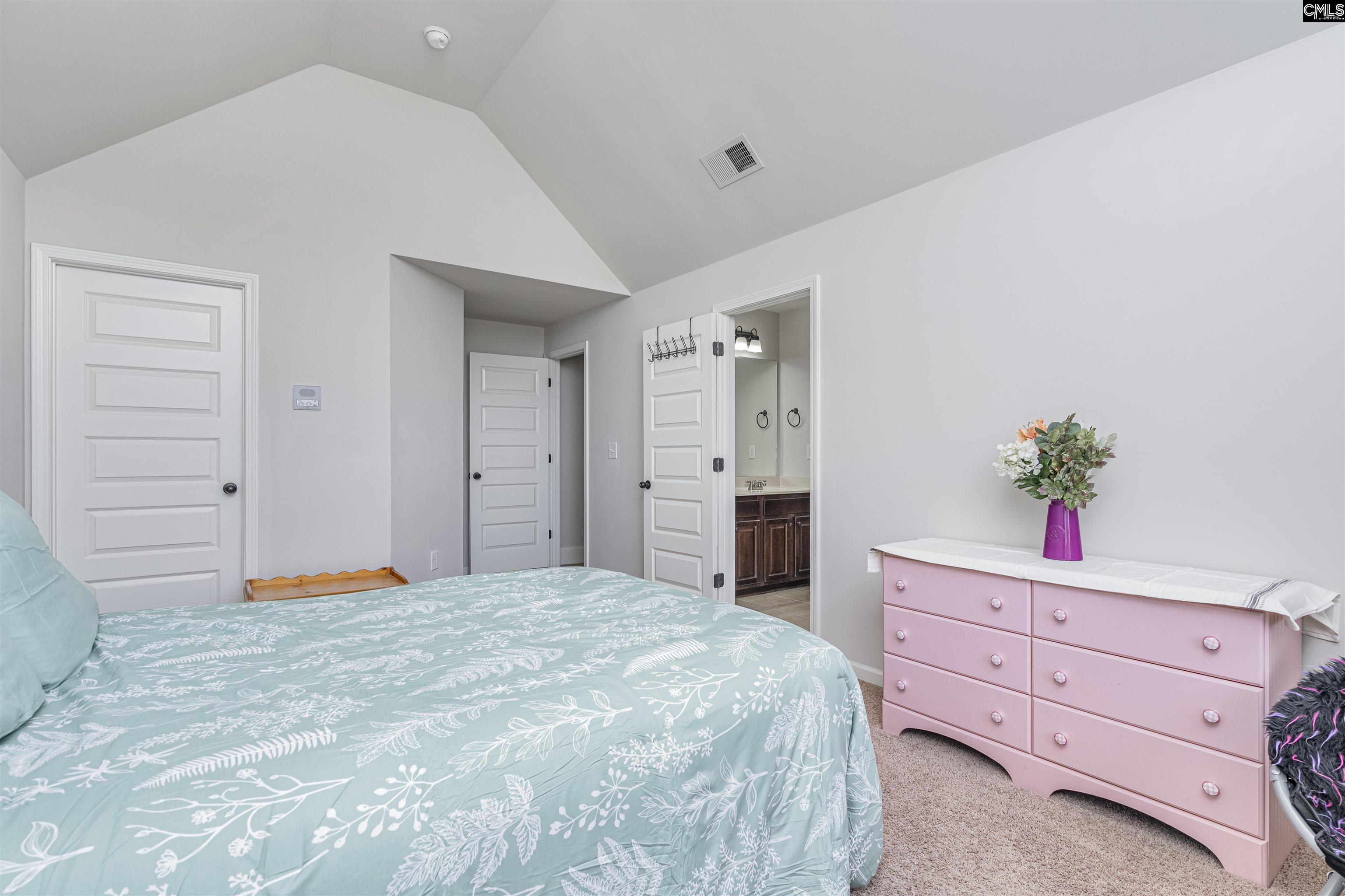 275 Hilton Village, Chapin, South Carolina image 37