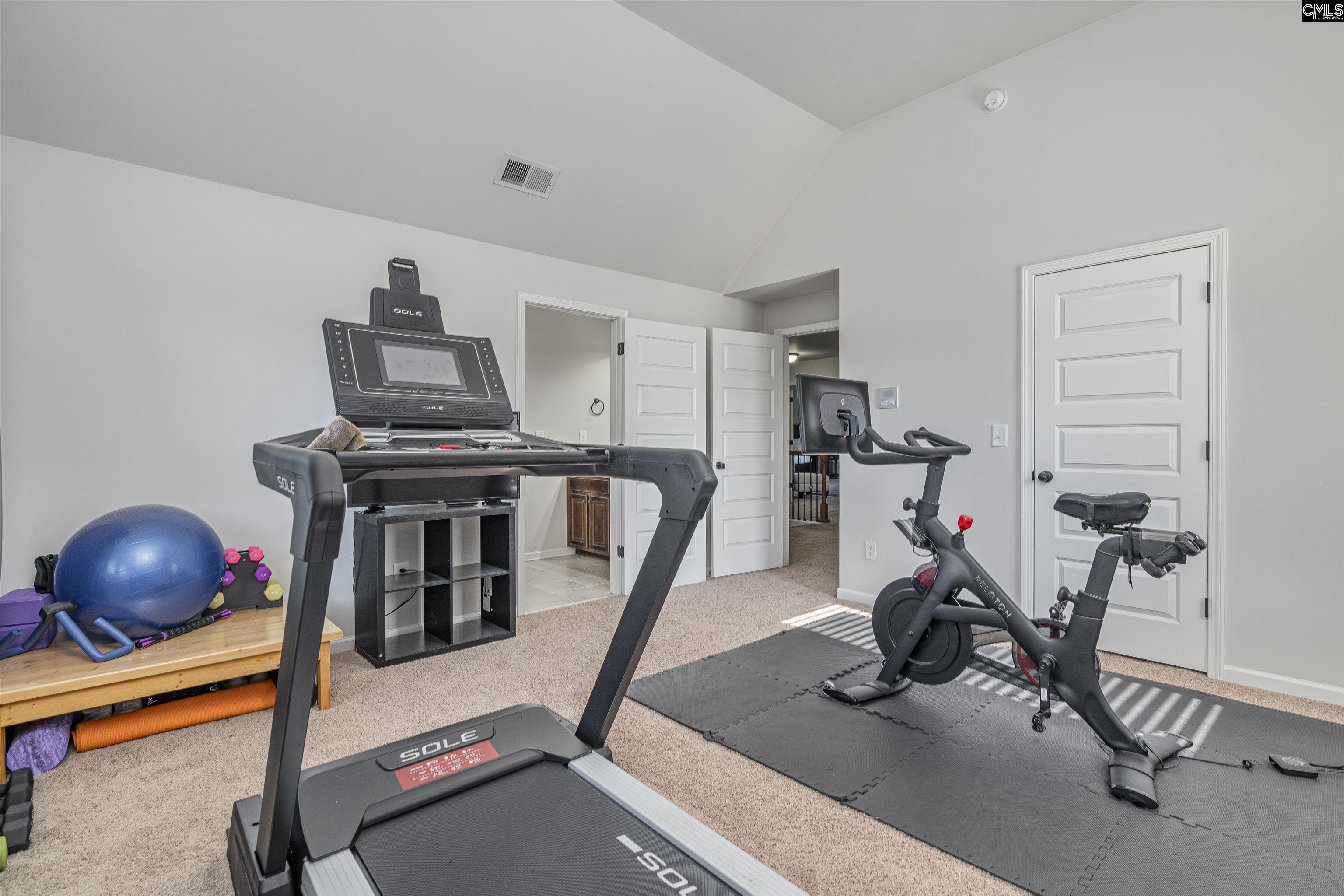 275 Hilton Village, Chapin, South Carolina image 40