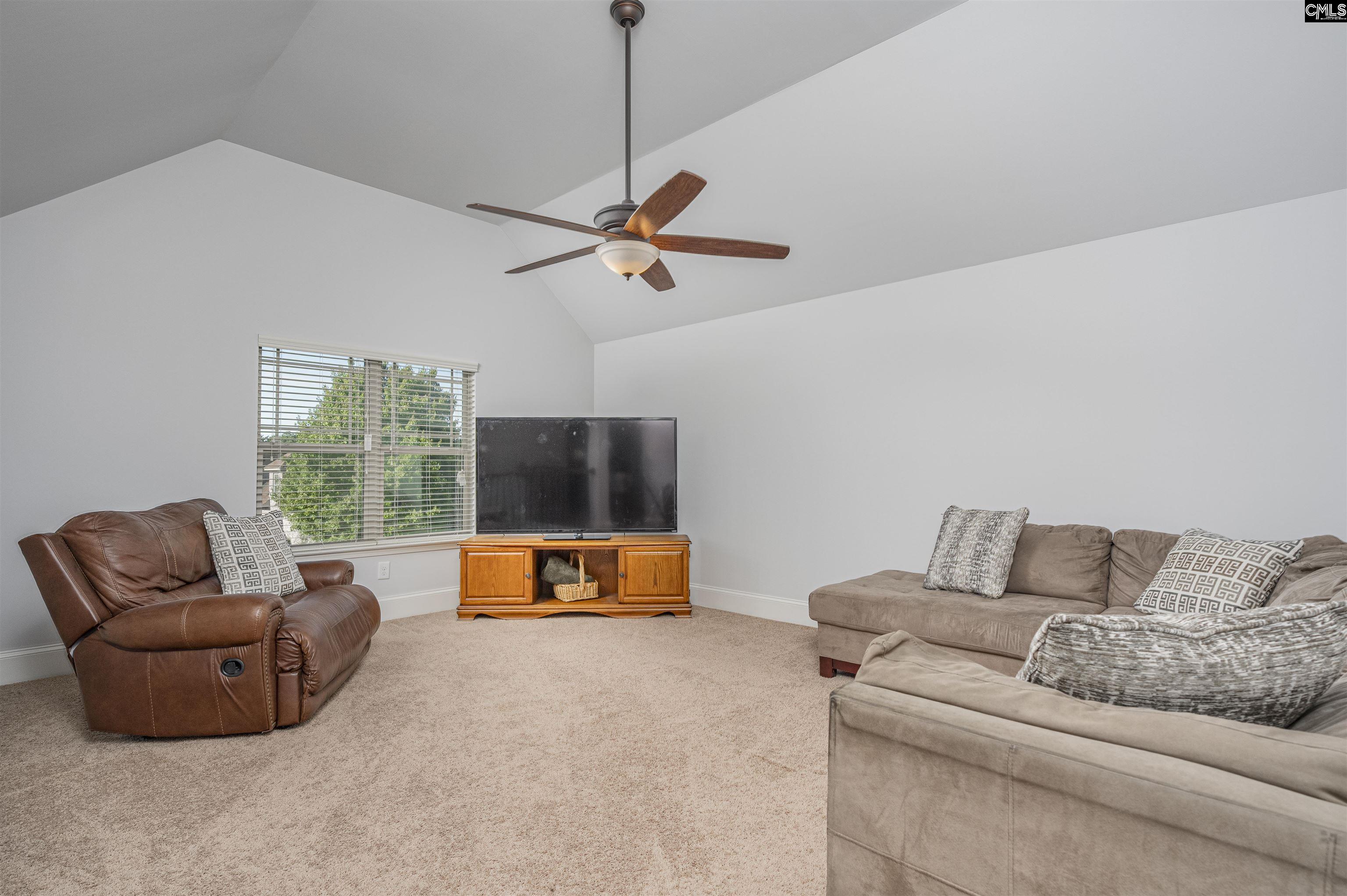 275 Hilton Village, Chapin, South Carolina image 41